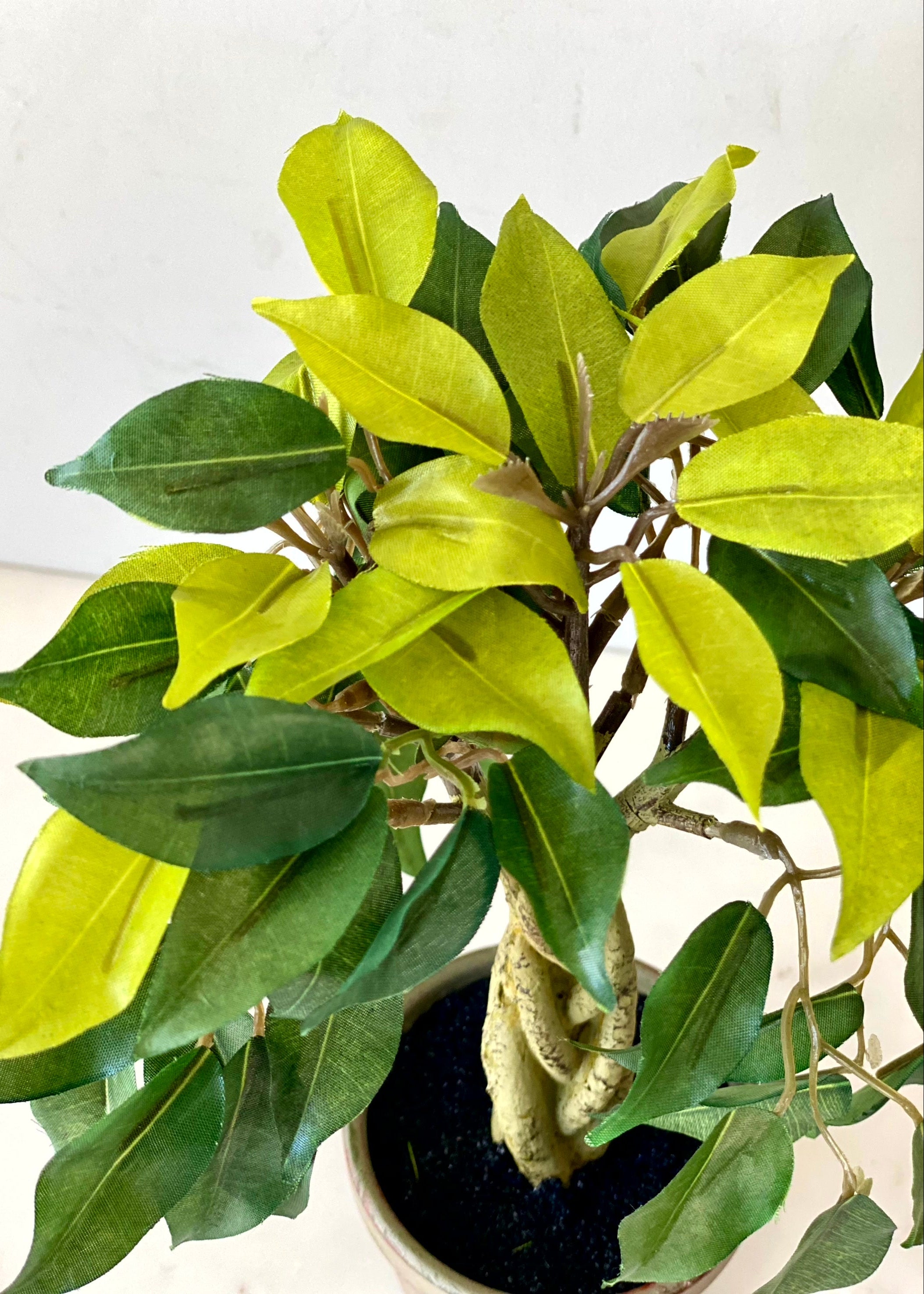 Artificial Croton Bonsai Plant – 1.3 Feet