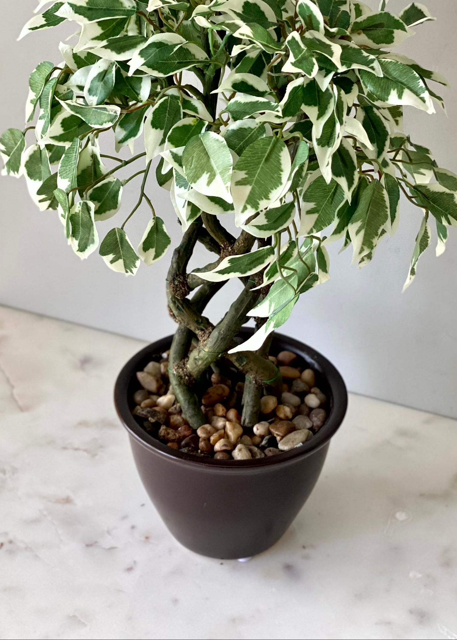 Artificial Variegated Ficus Plant – 1.3 Feet
