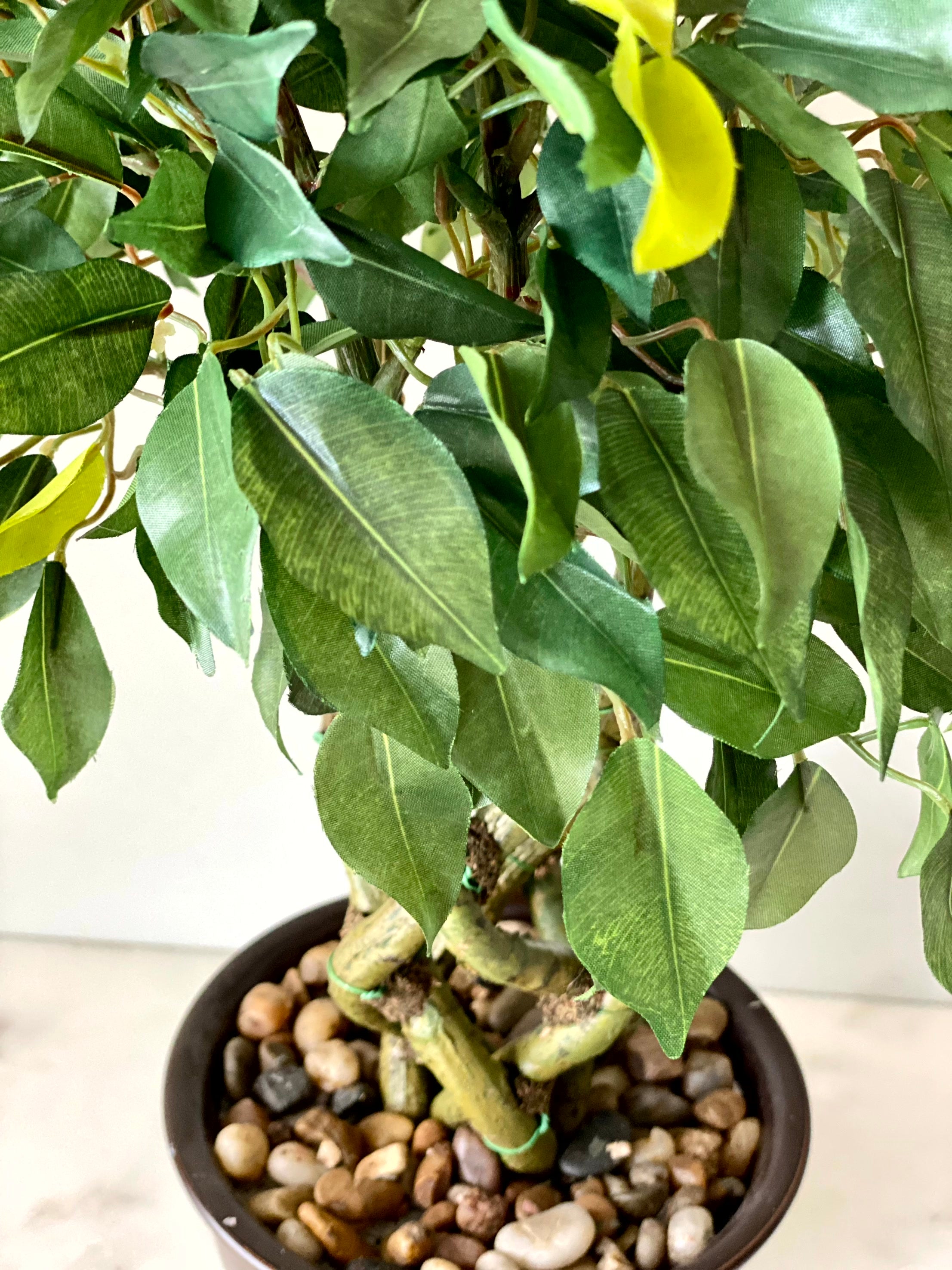 Artificial Ficus Bonsai Plant - 1.3 Feet