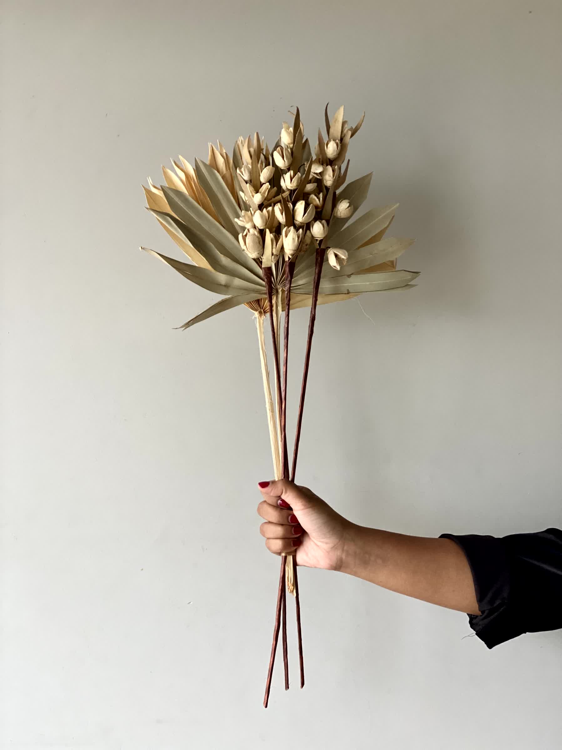 Desert Bakuli Palm Bunch