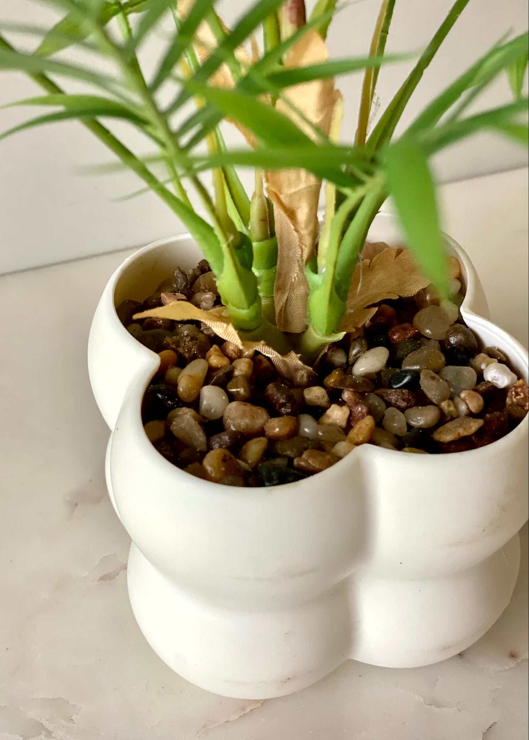 Nova Palm Planter