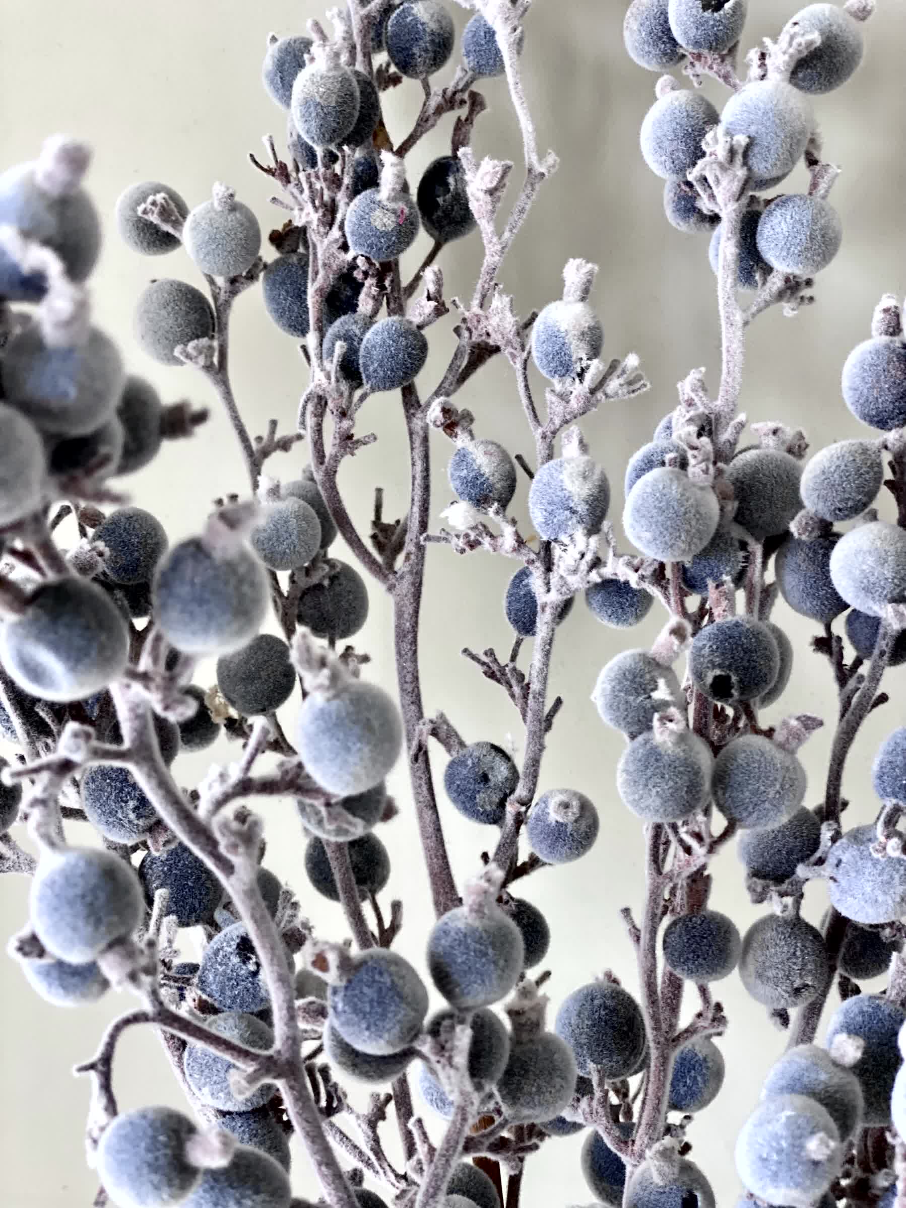 Frosted Berry Bunch - Set of 8