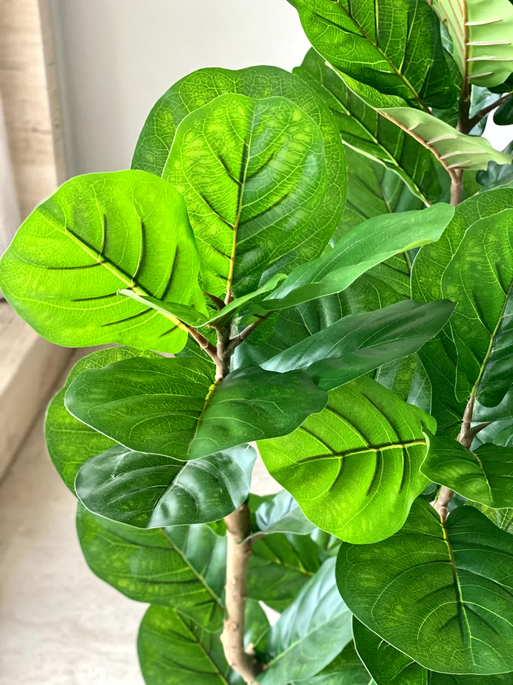 Artificial Verde Fiddle Fig Plant - 4 Feet