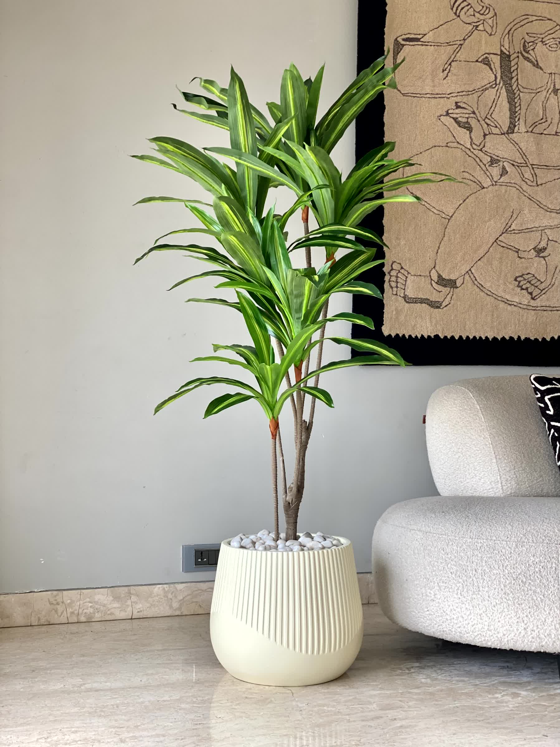 Artificial Serene Dracaena Plant - 5.5 Feet