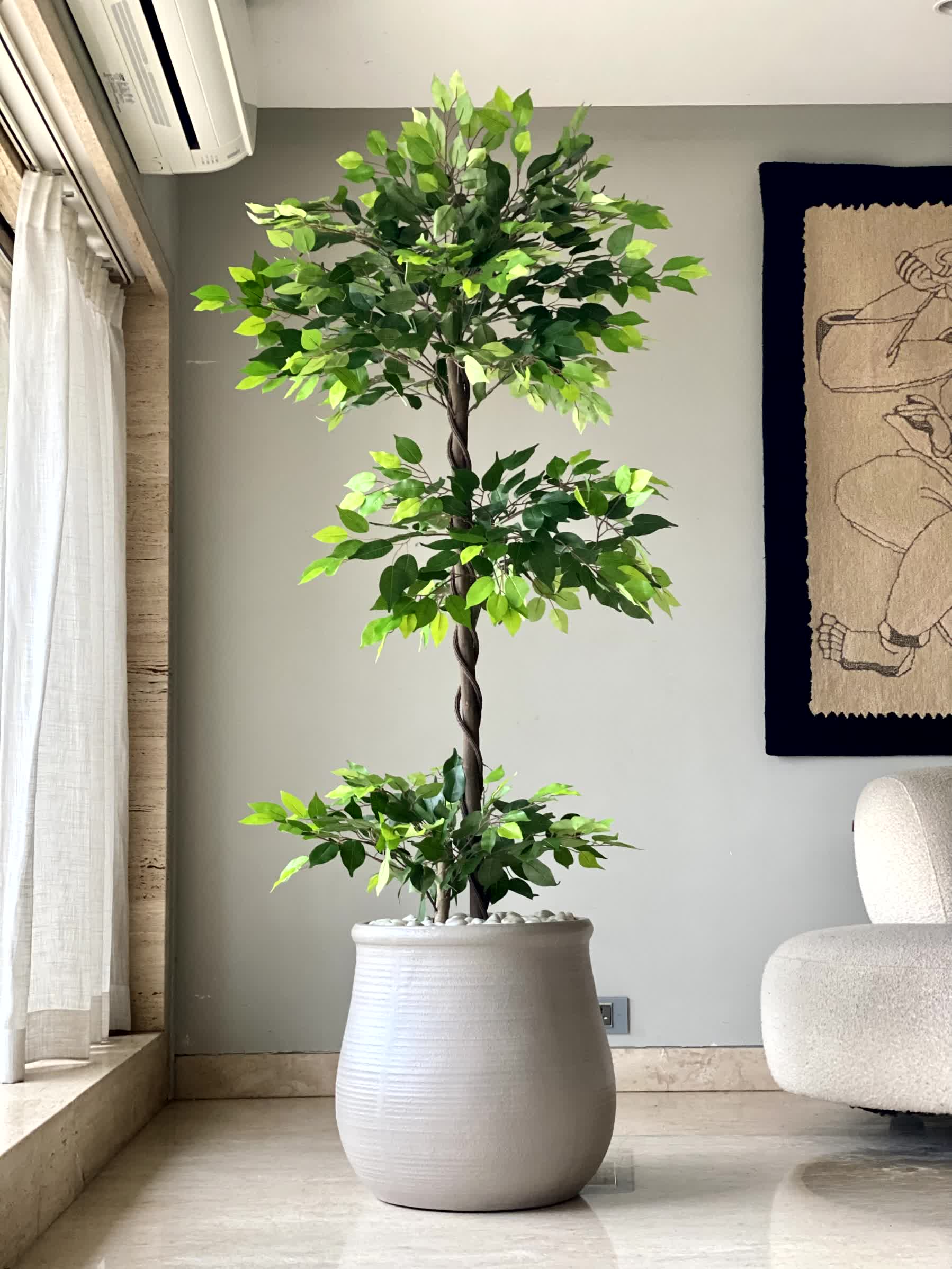 Artificial Verano Ficus Plant - 6 Feet