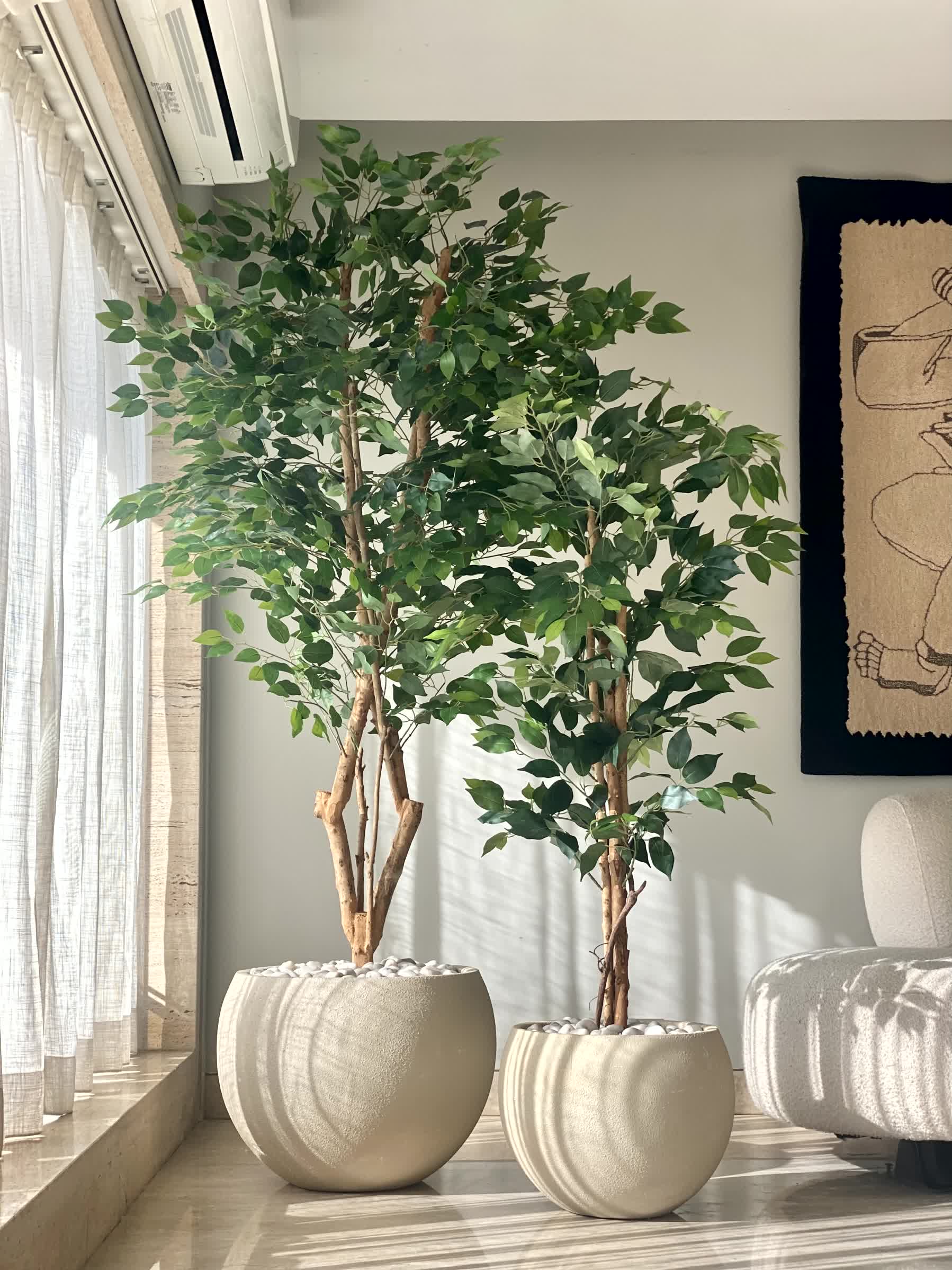 Artificial Grove Ficus Plant - 7 Feet