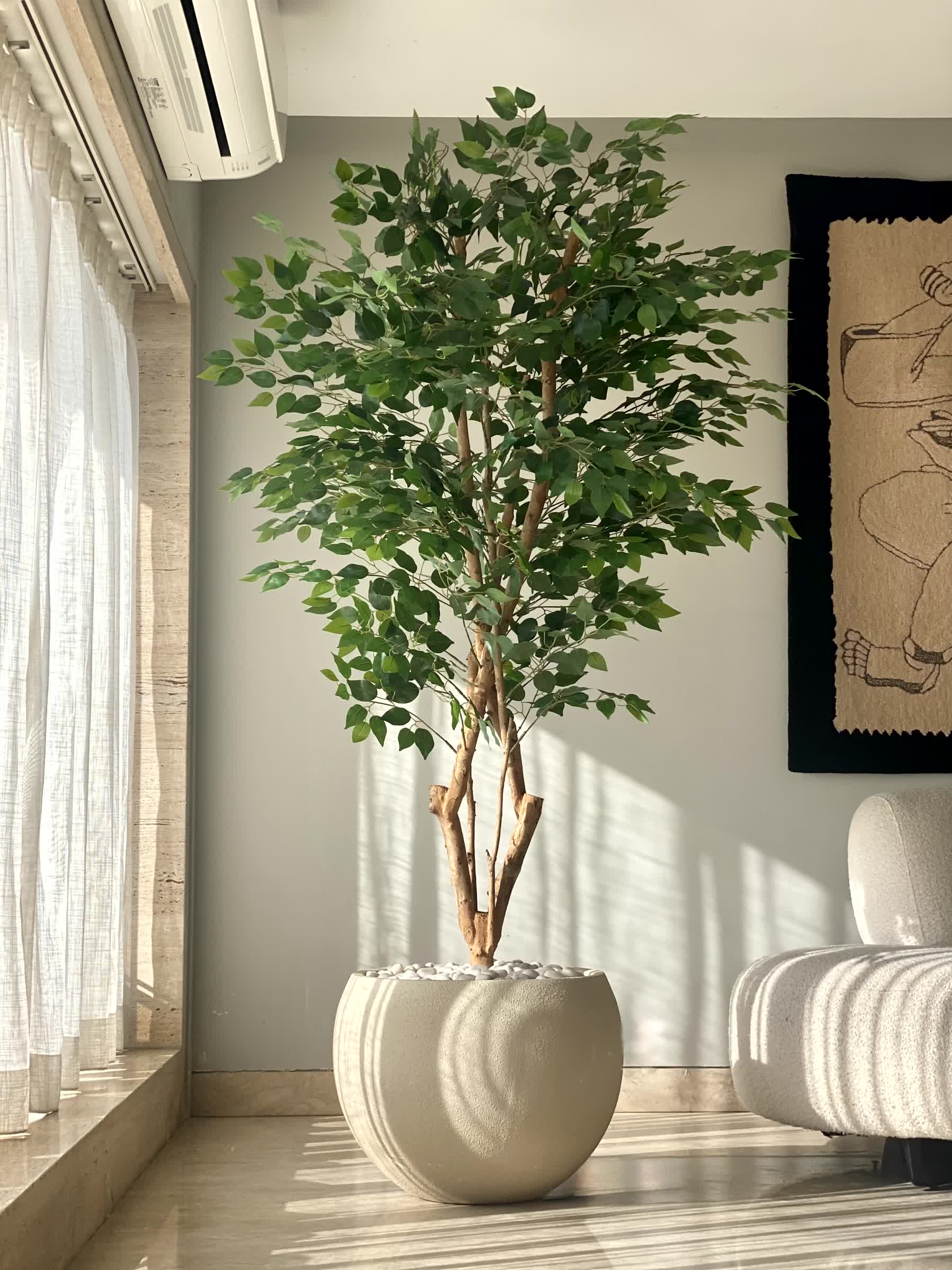 Artificial Grove Ficus Plant - 7 Feet