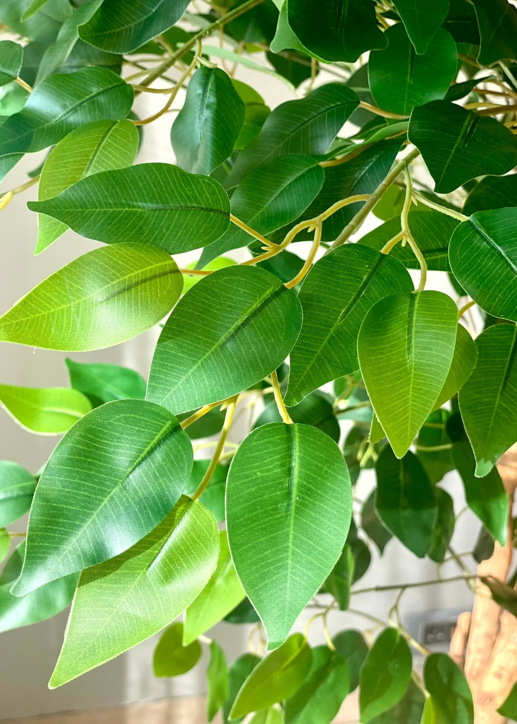 Artificial Grove Ficus Plant - 7 Feet