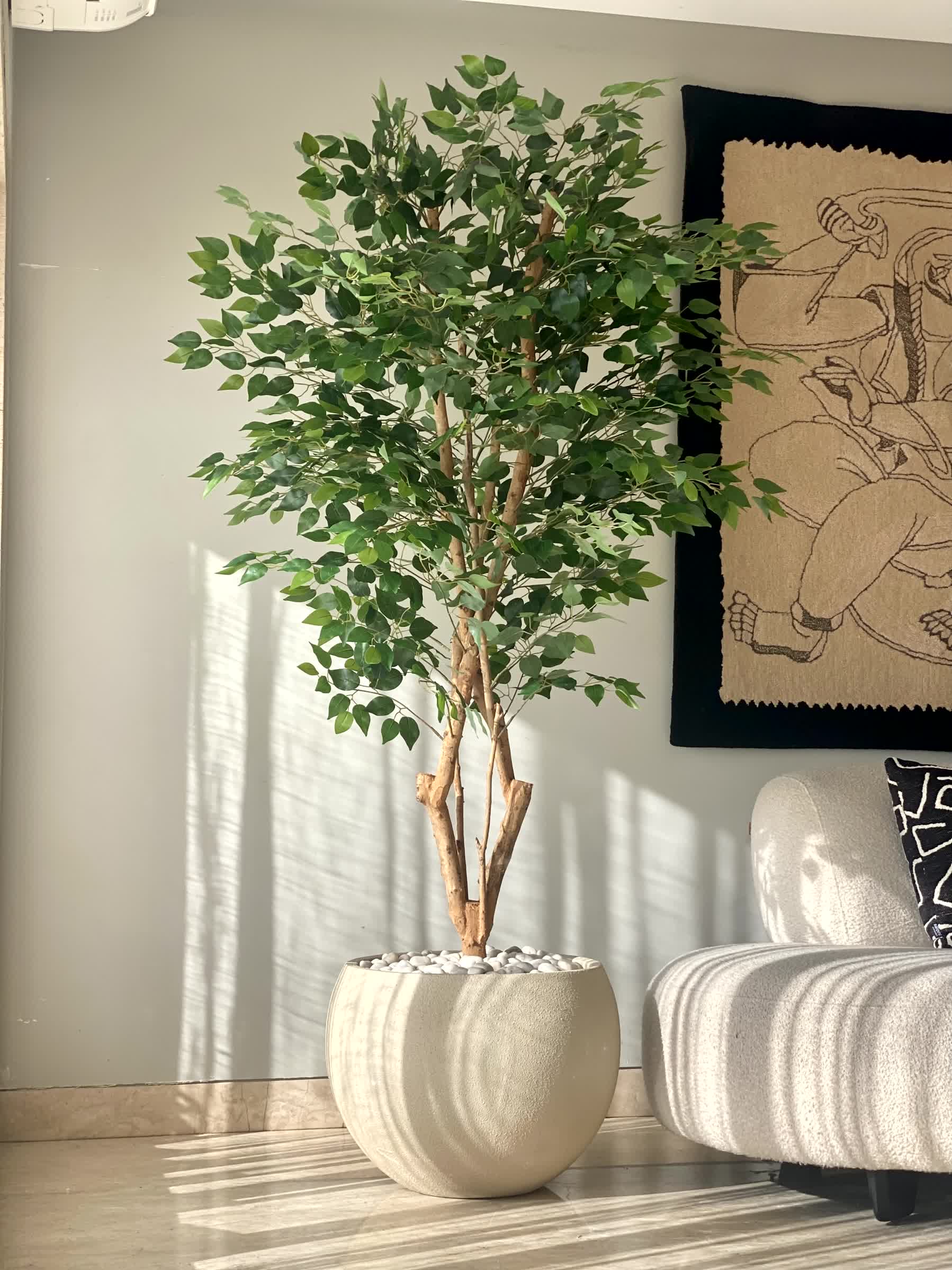 Artificial Grove Ficus Plant - 7 Feet
