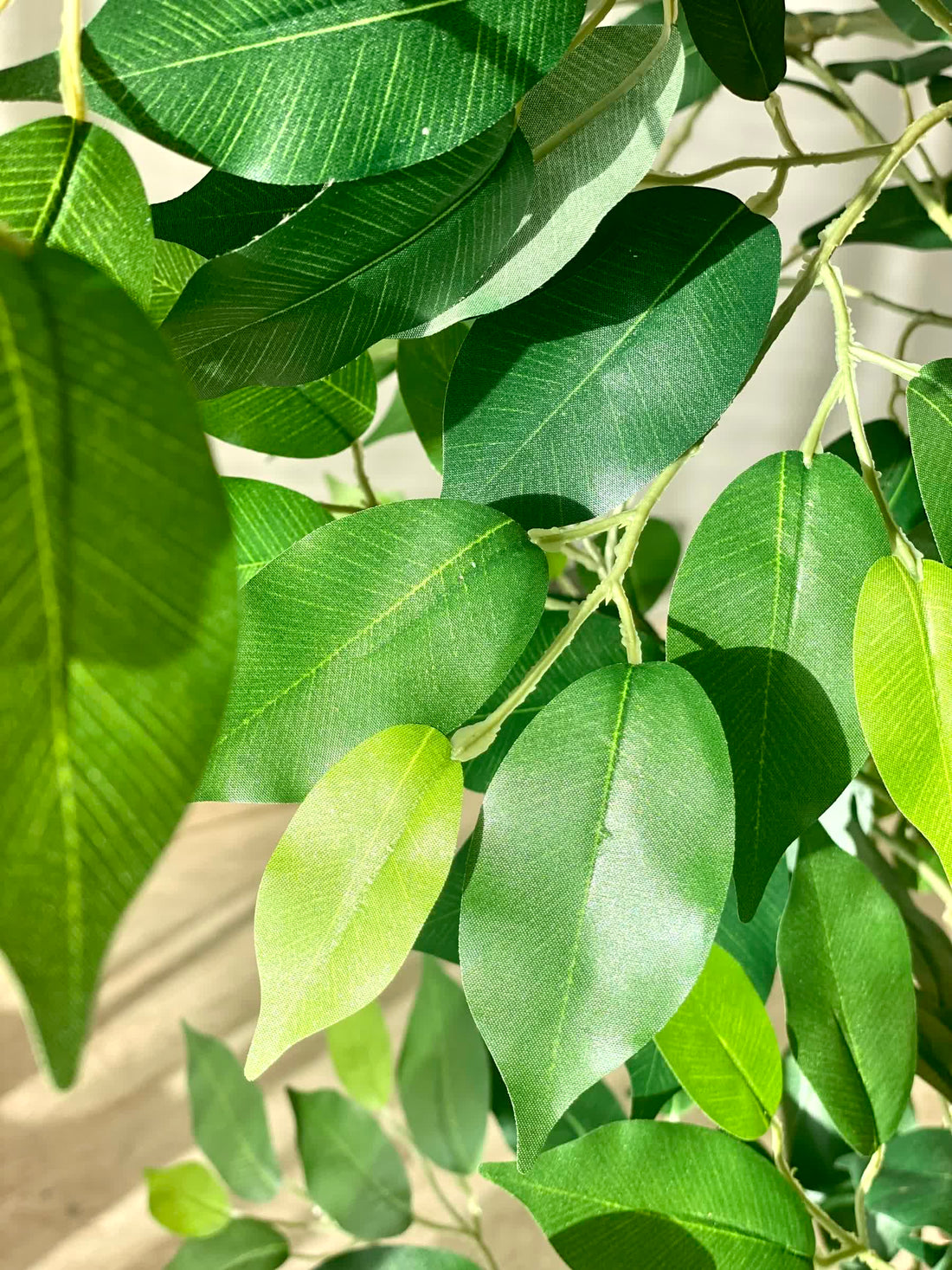 Artificial Grove Ficus Plant - 5 Feet