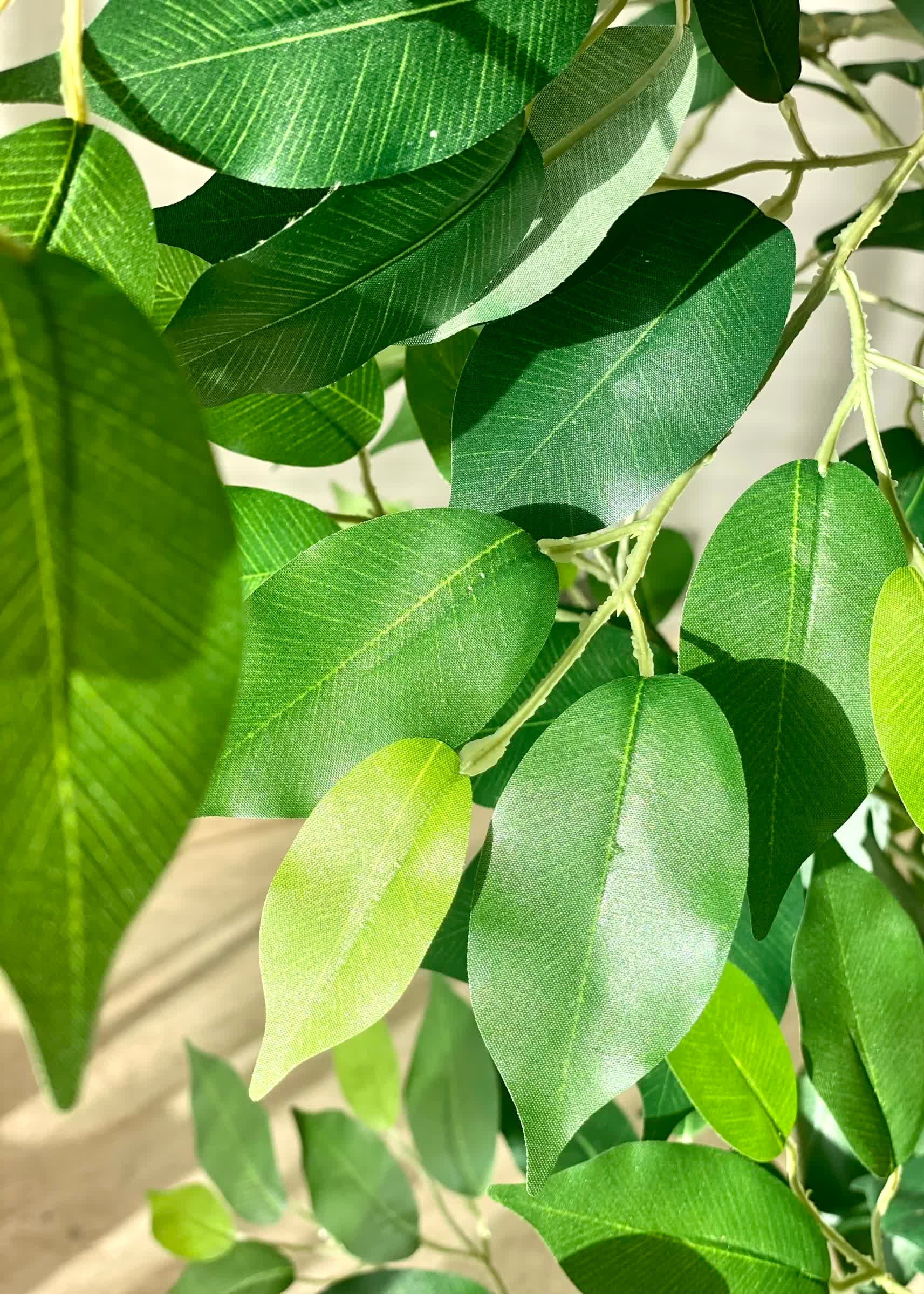 Artificial Grove Ficus Plant - 5 Feet