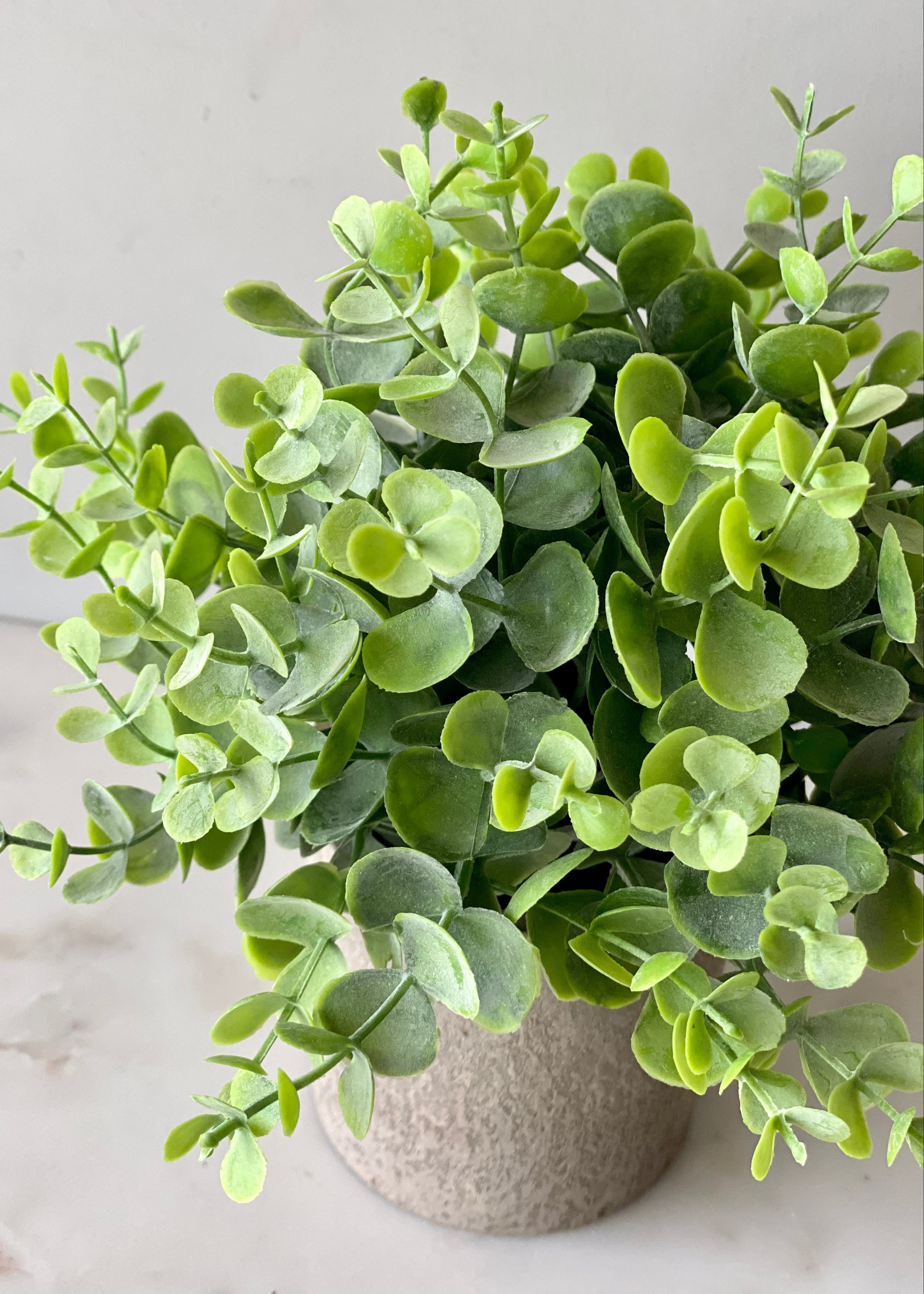 Artificial Eucalyptus Foliage Plant