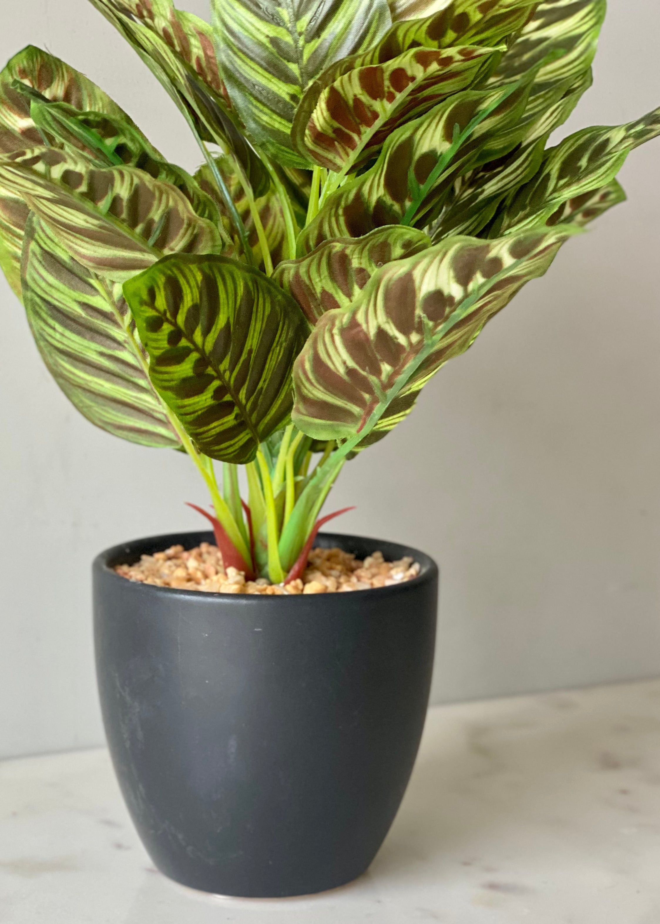 Artificial Calathea Plant