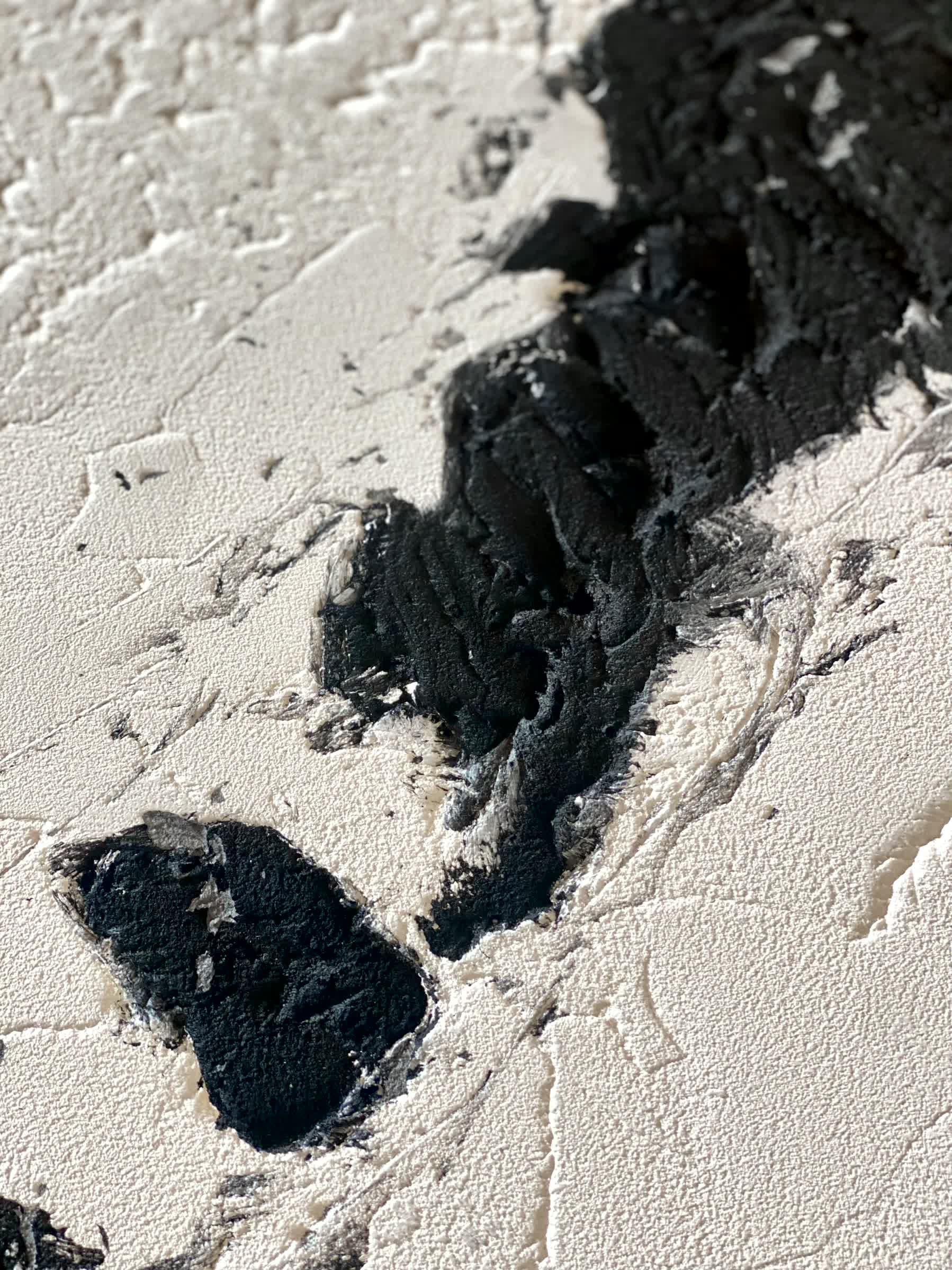 Wall Art: Shadows & Light