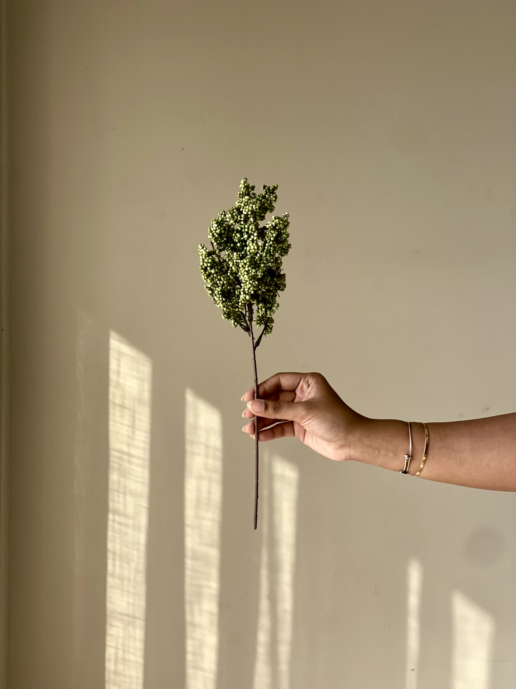 Artificial Wisteria Small Flower Stem - Green (One Stem)