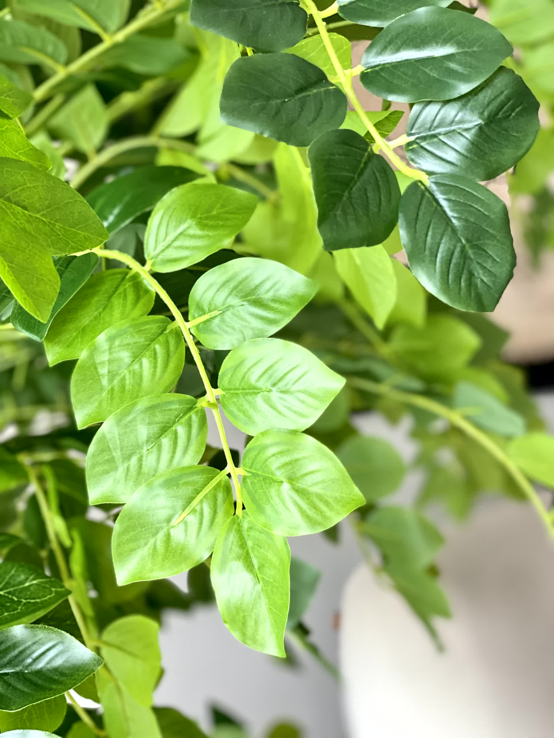 Artificial Evergreen Plant - 5 Feet