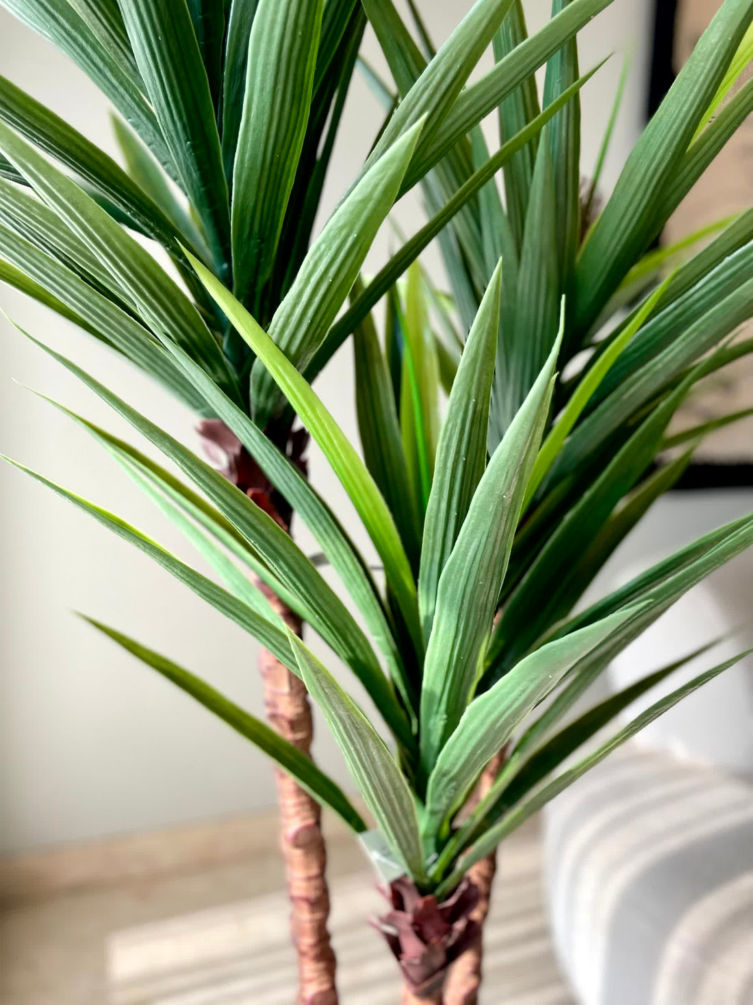 Artificial Yucca Plant - 6 Feet