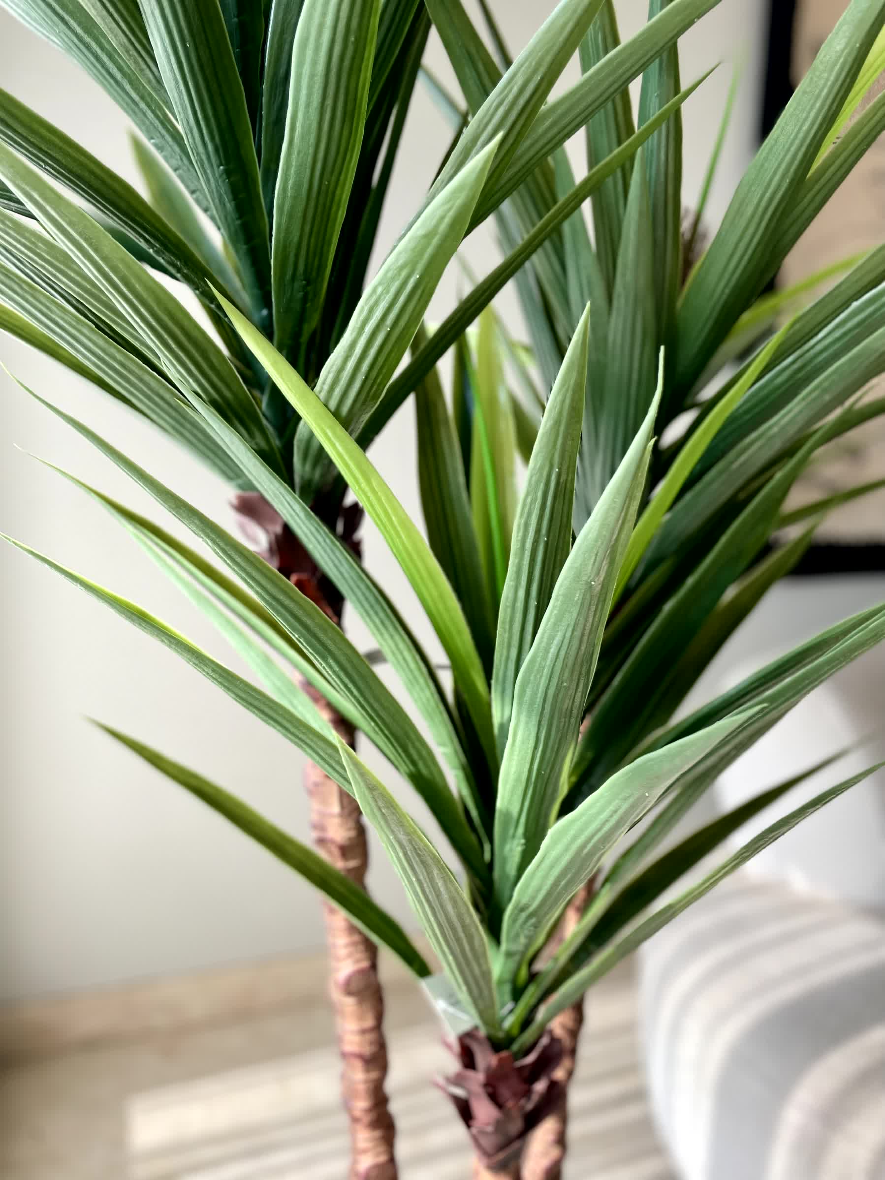 Artificial Yucca Plant - 6 Feet