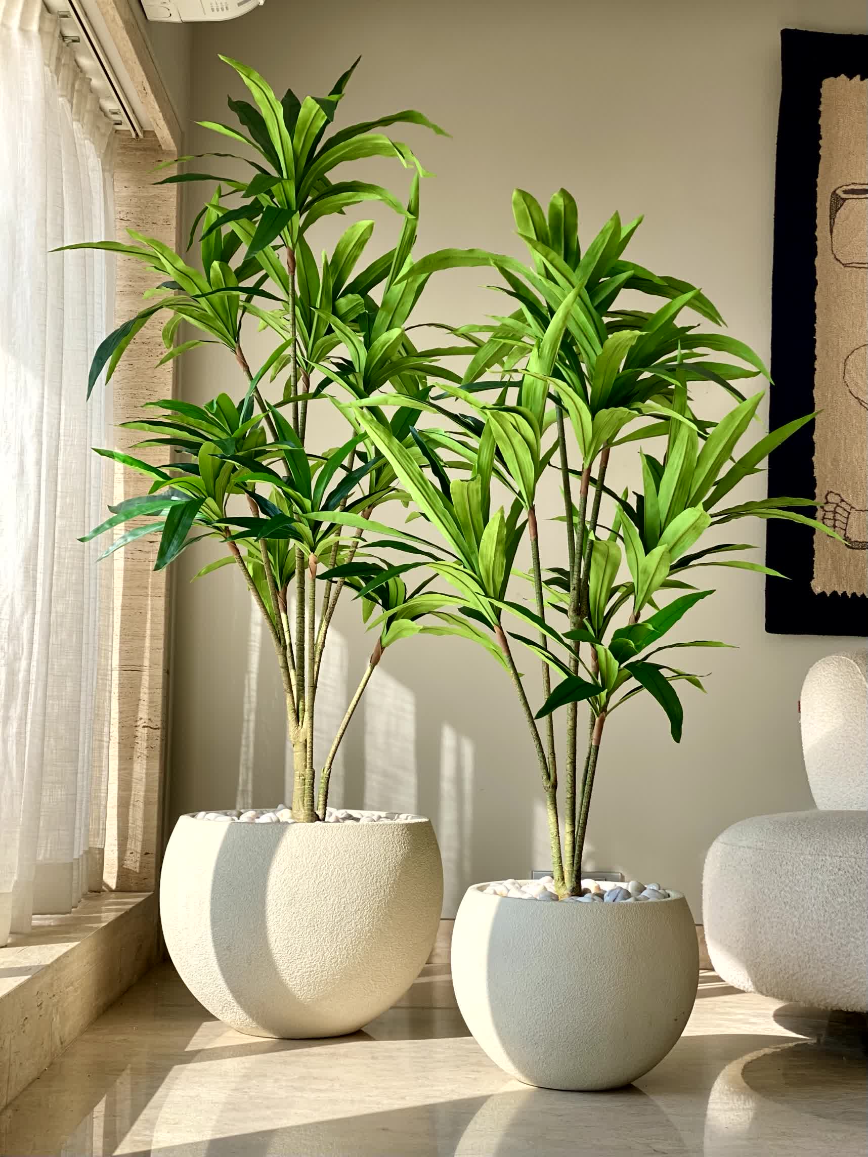 Artificial Botanic Dracaena Plant - 6 Feet