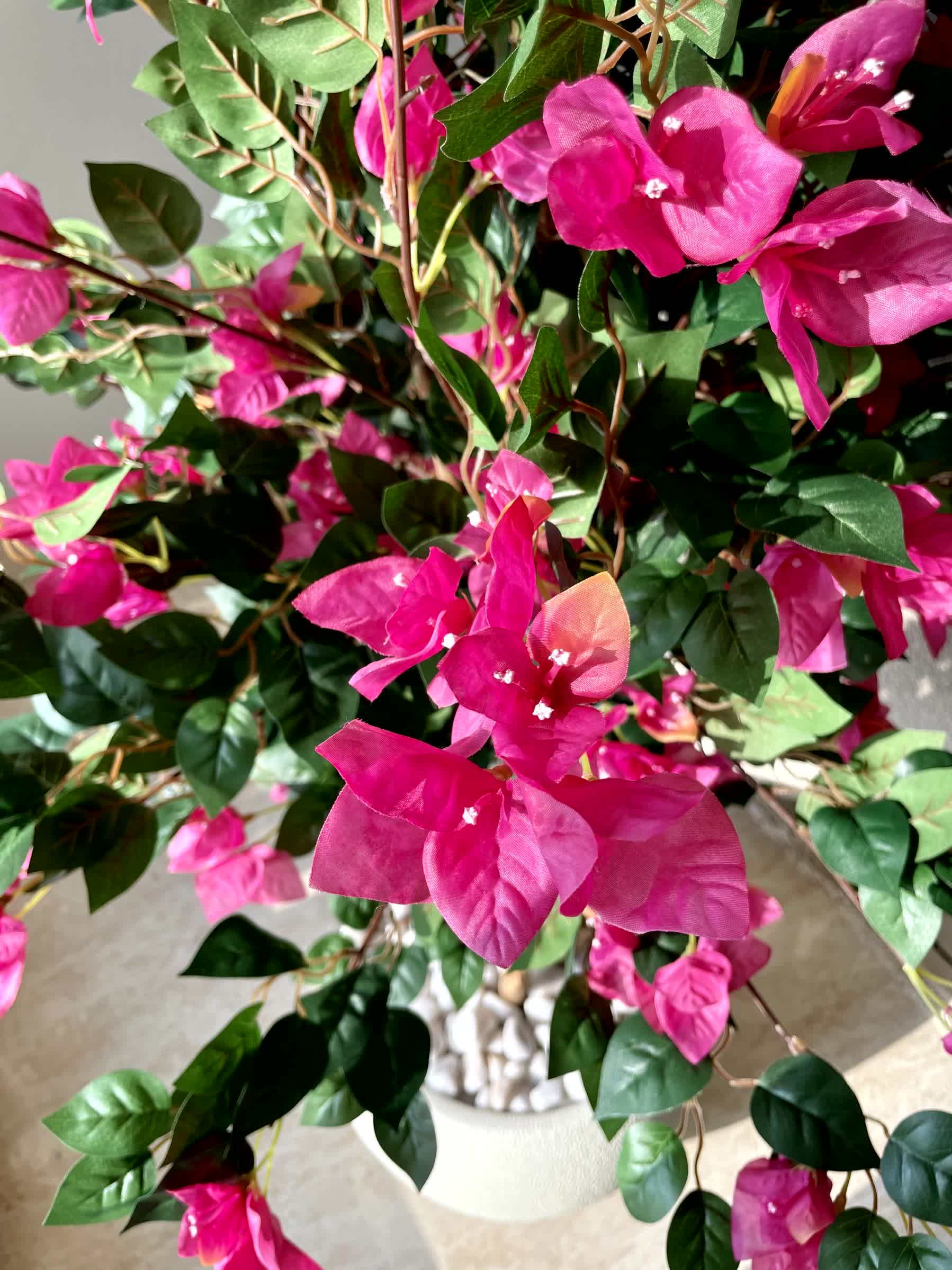 Artificial Bougainvillea Plant - 6 Feet