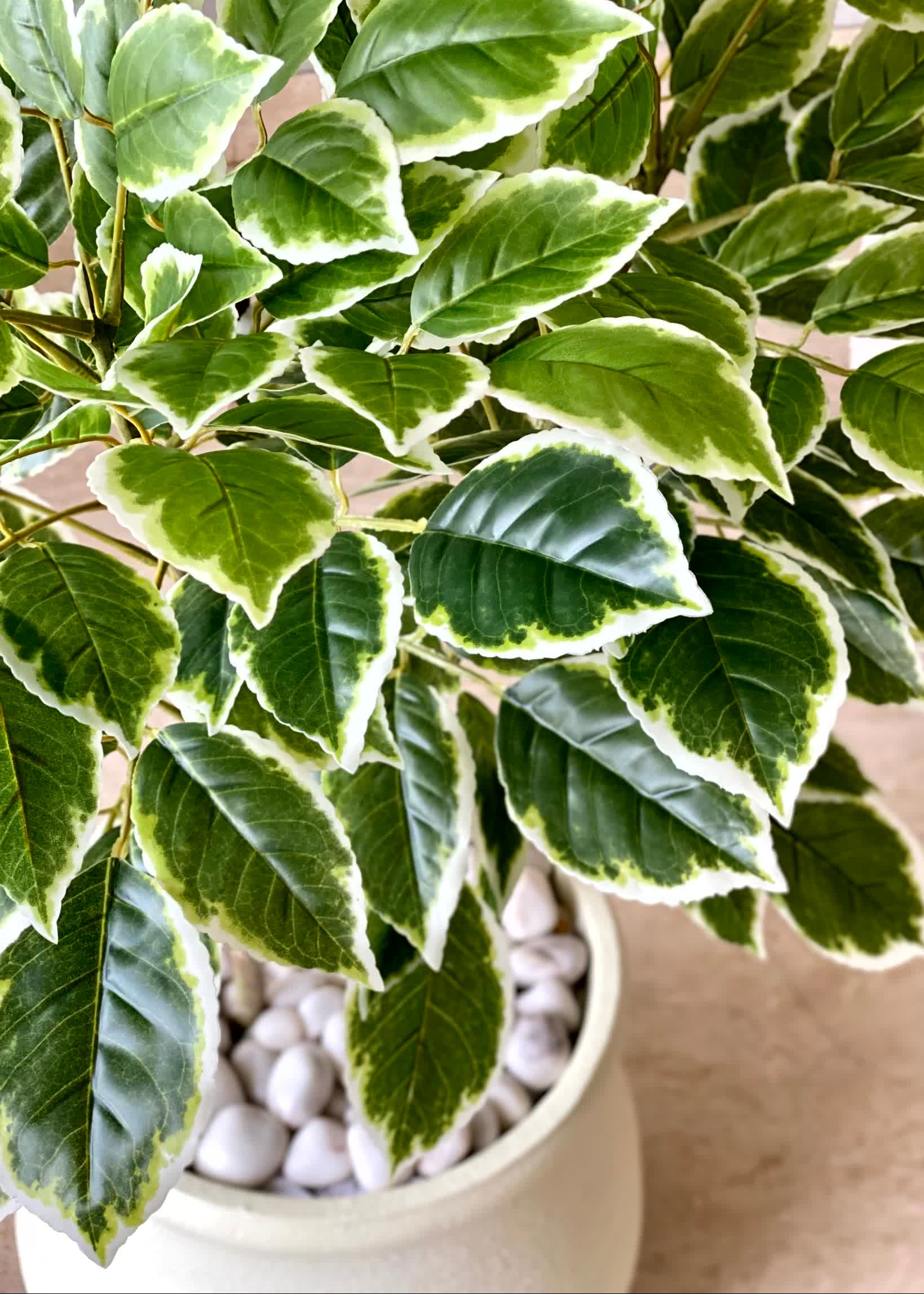Artificial Benjamin Ficus Plant - 4 Feet
