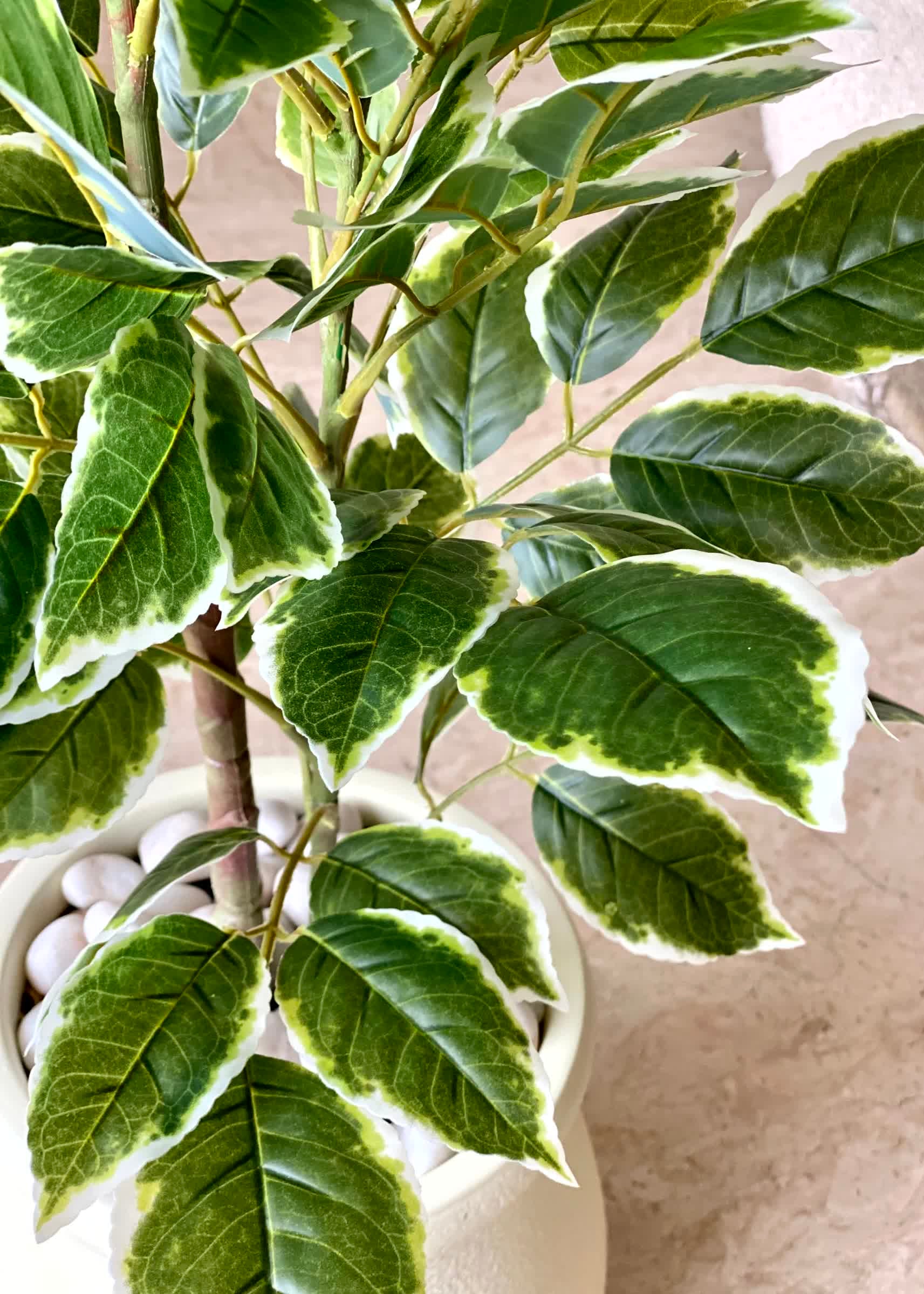 Artificial Benjamin Ficus Plant - 3 Feet