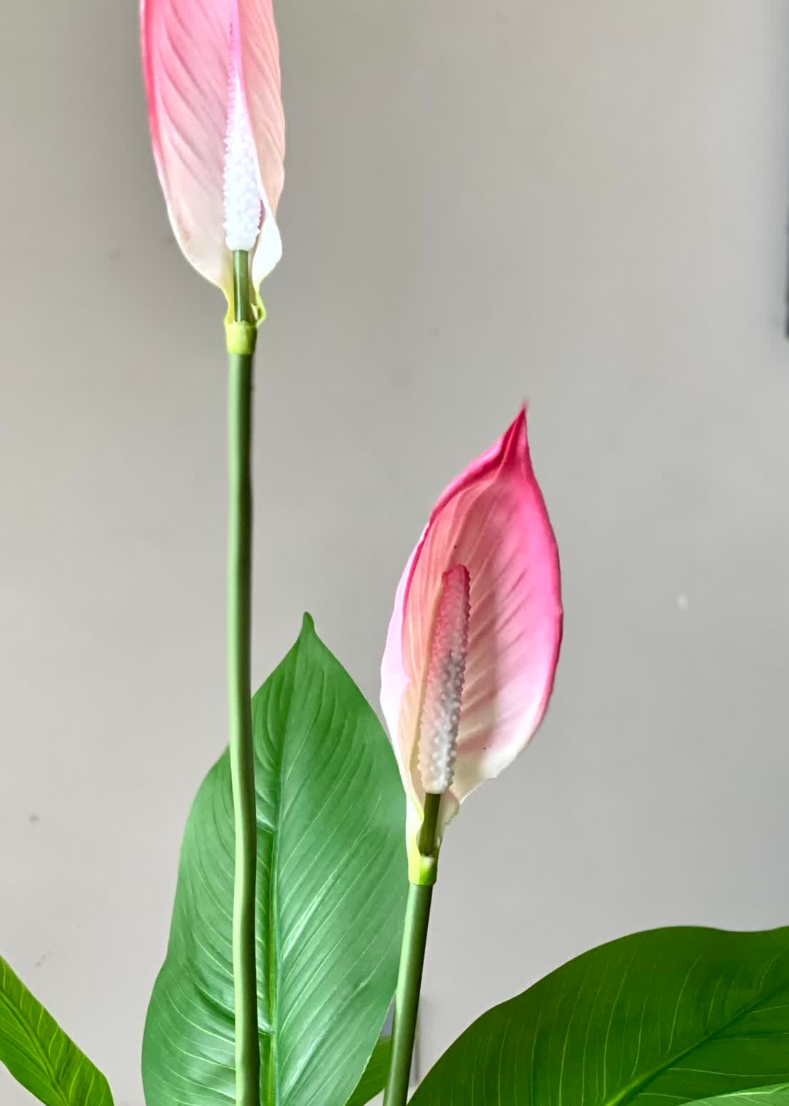 Artificial Pink Peace Lily Plant - 3.4 Feet