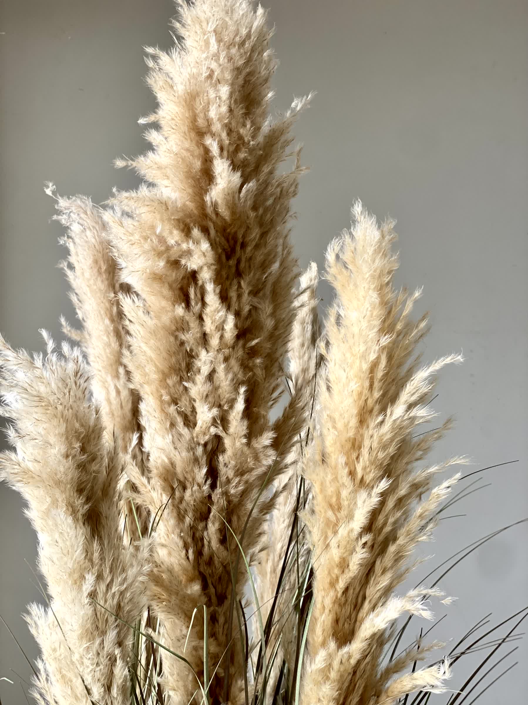 Artificial Luxe Pampas Grass Plant - 3.6 Feet