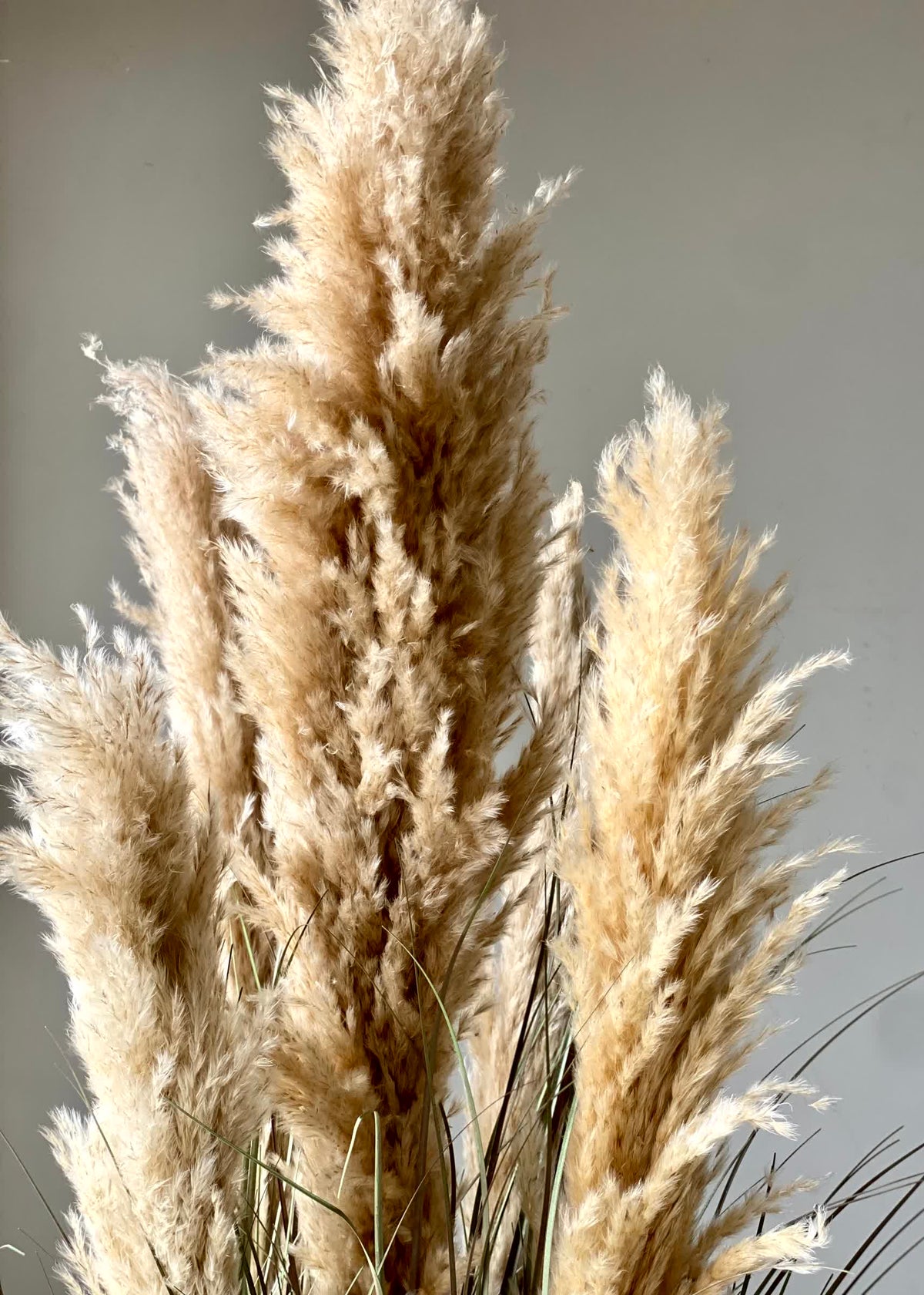 Artificial Luxe Pampas Grass Plant - 4 Feet