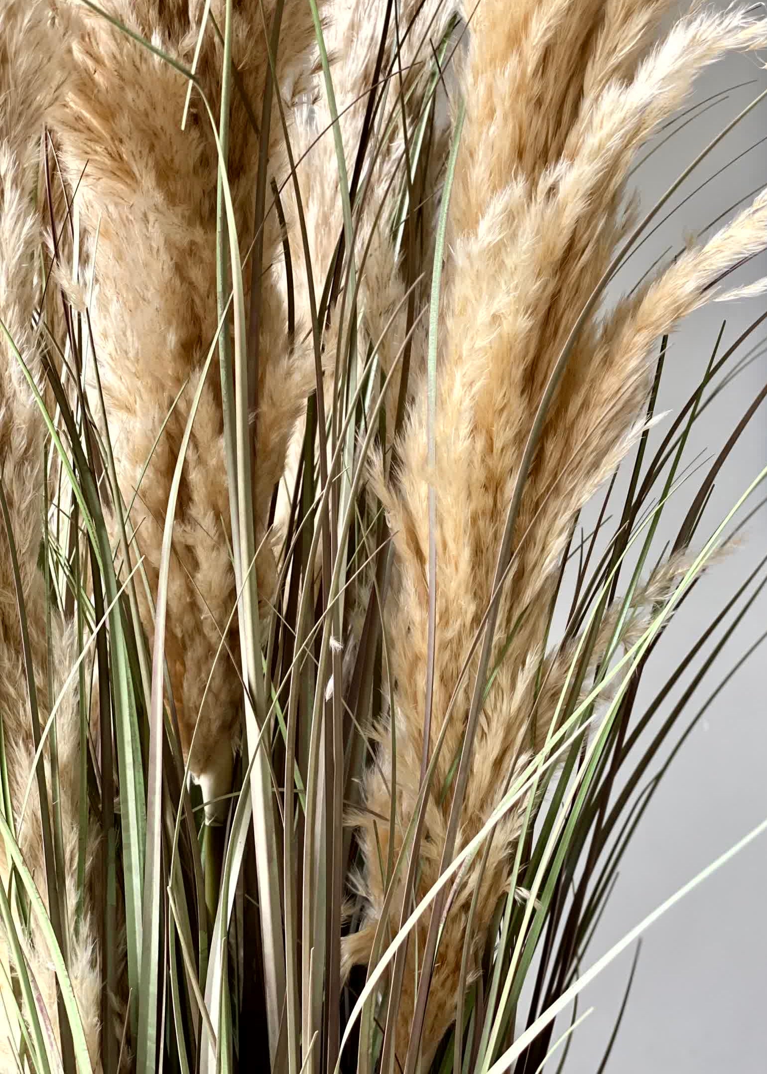 Artificial Luxe Pampas Grass Plant - 4 Feet