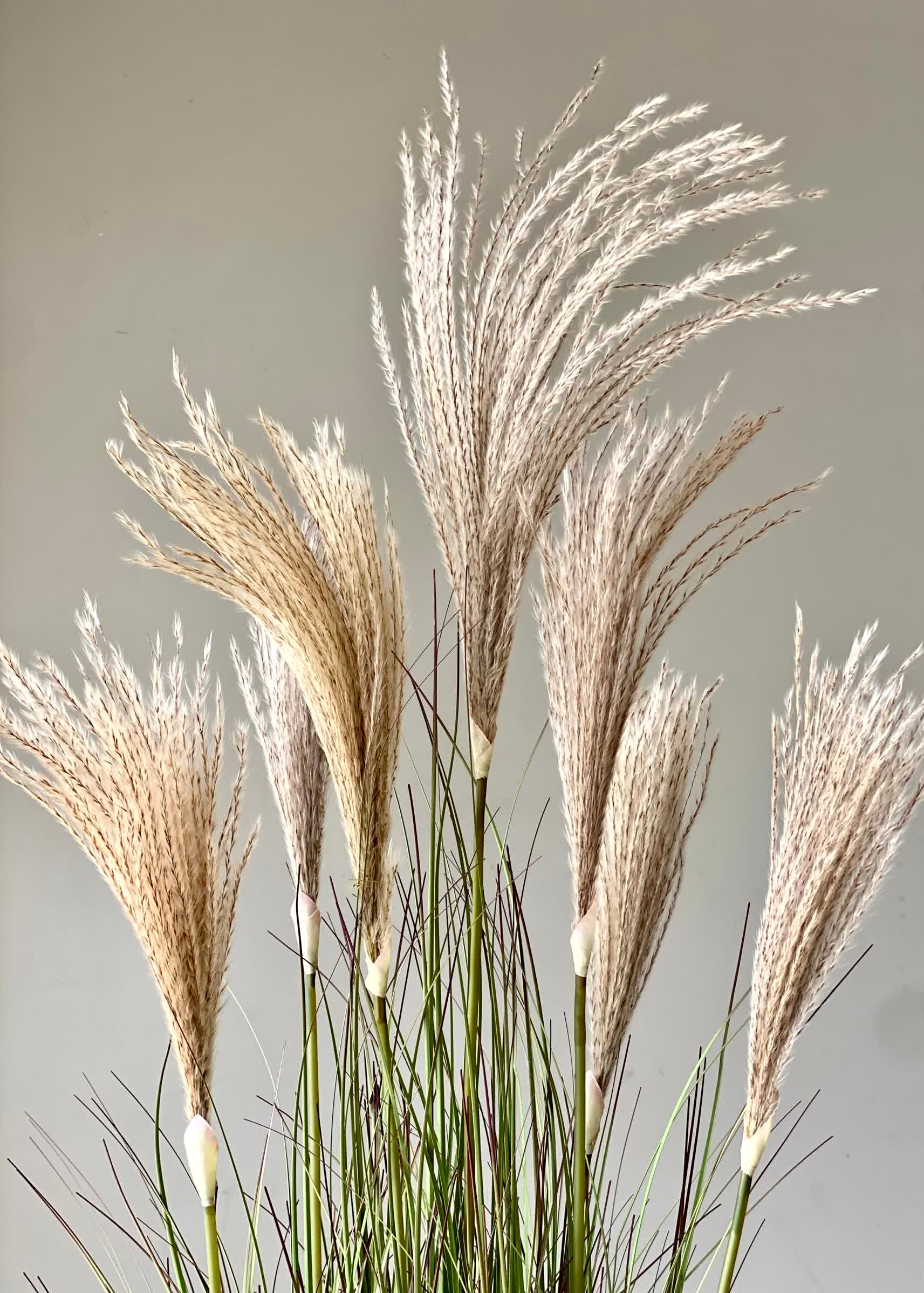 Artificial Luxe Reed Grass Plant - 4.2 Feet