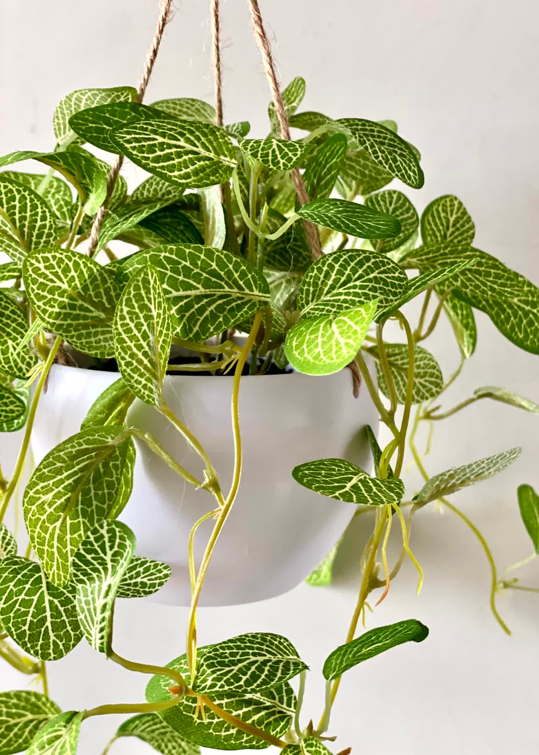 Artificial Green Mosaic Trailing Plant