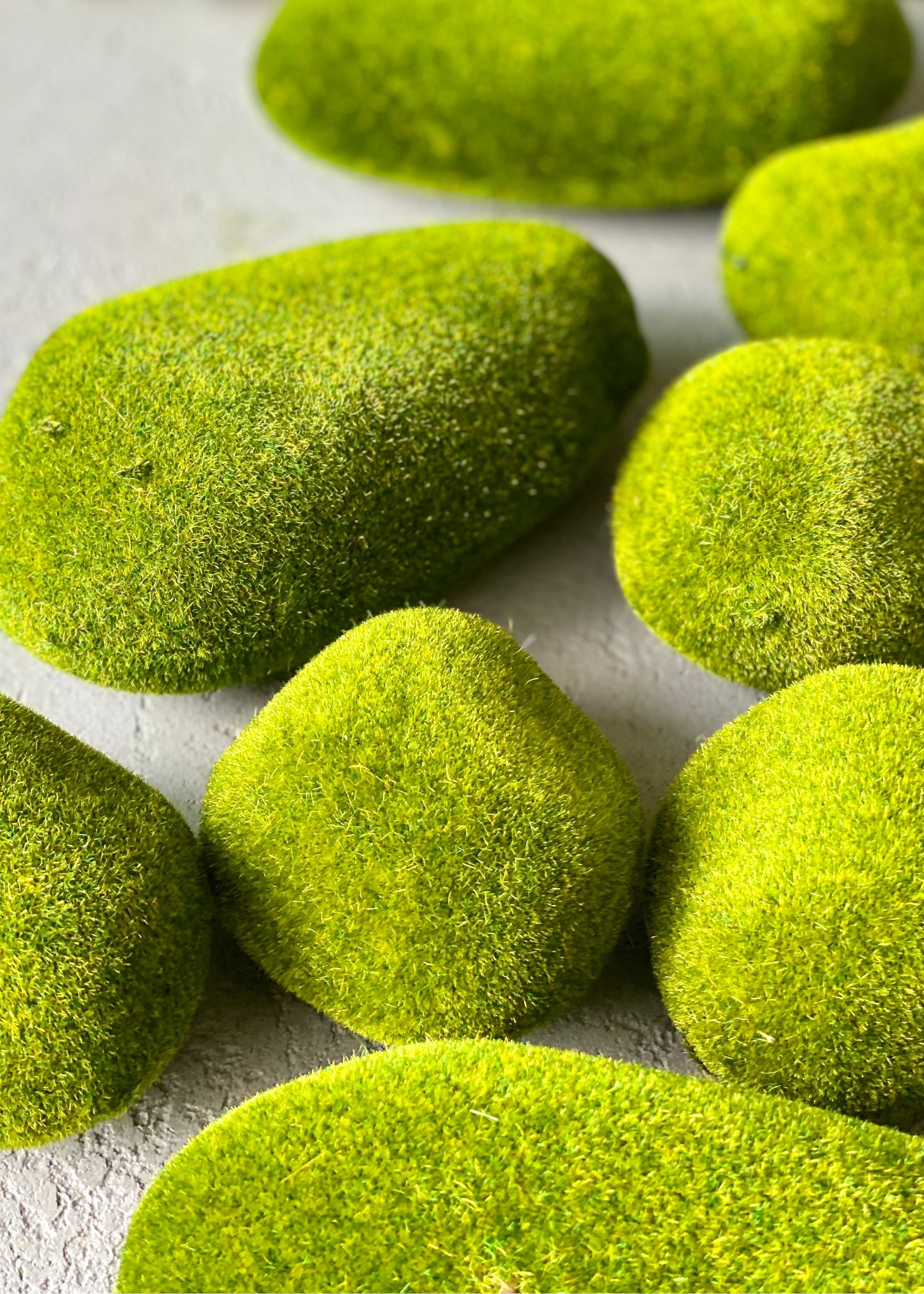 Moss Ball (Pack Of 12)