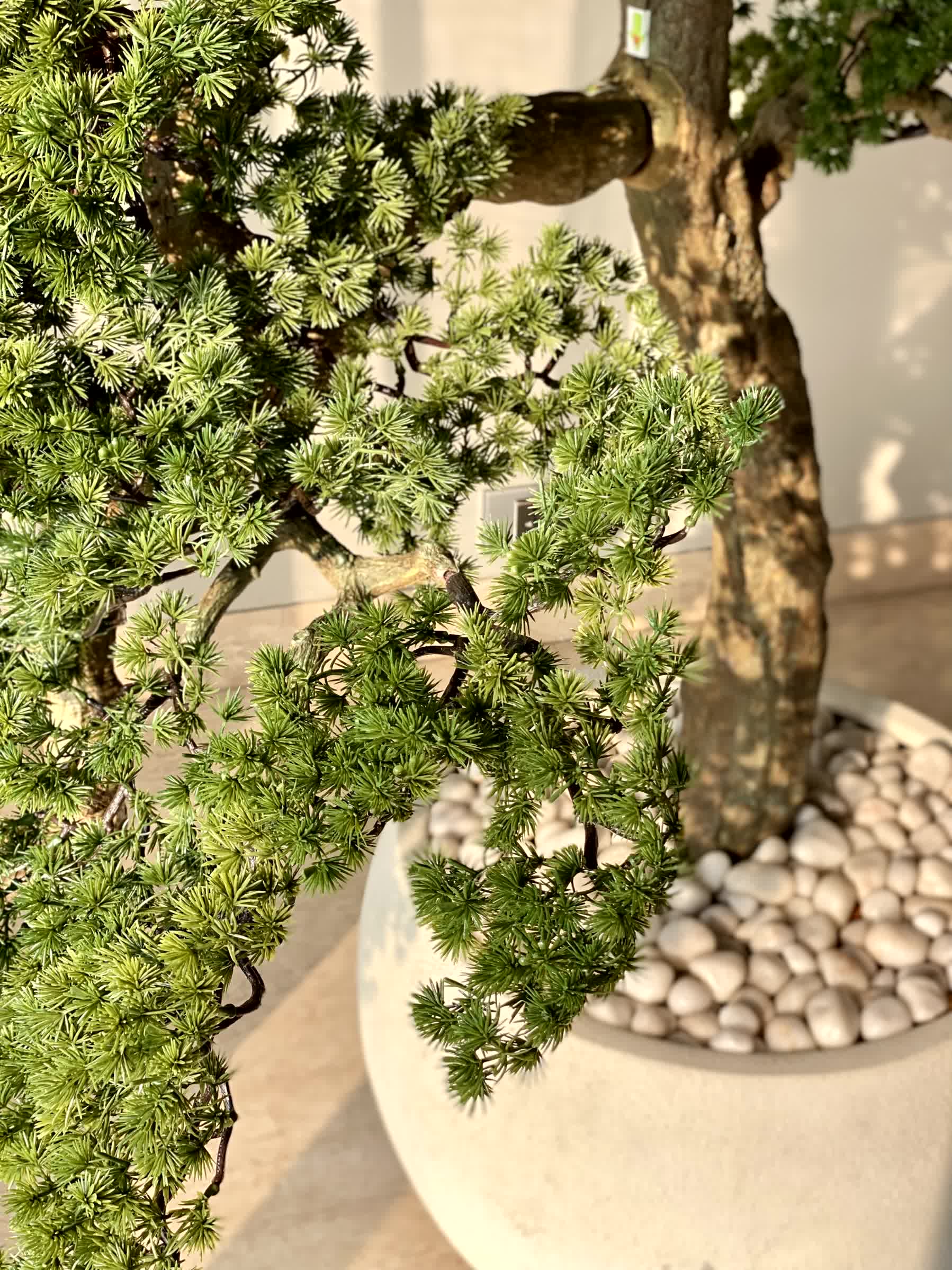 Artificial Zen Bonsai Plant - 5.5 Feet