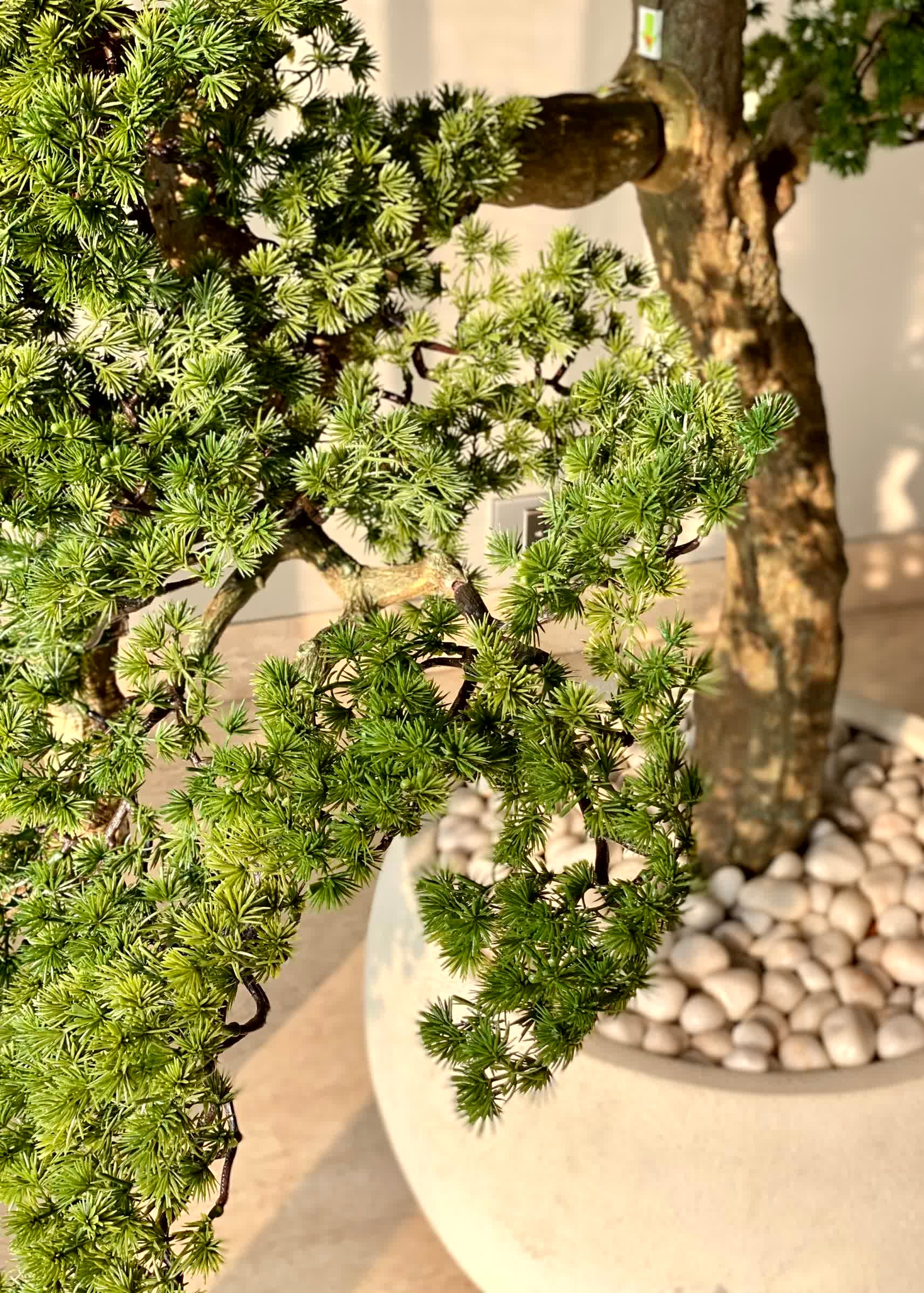 Artificial Zen Bonsai Plant - 5.5 Feet