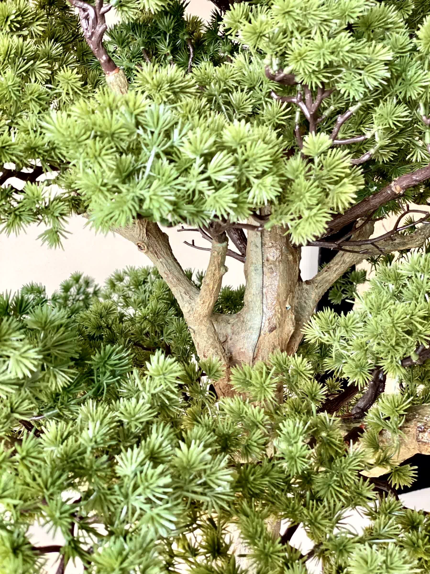 Artificial Zen Bonsai Plant - 5.5 Feet