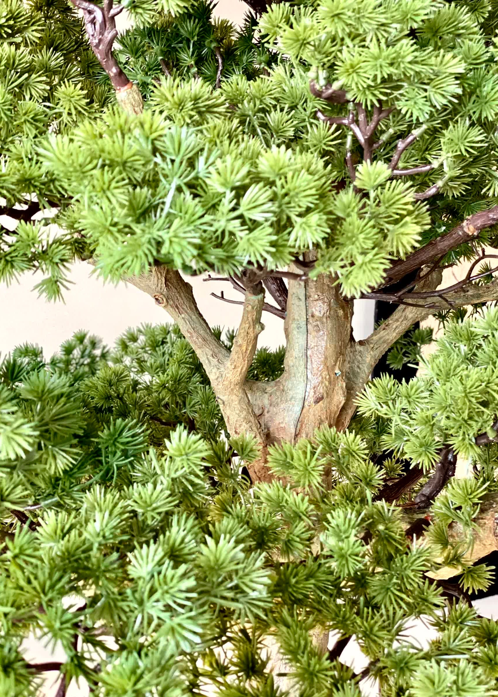 Artificial Zen Bonsai Plant - 5.5 Feet