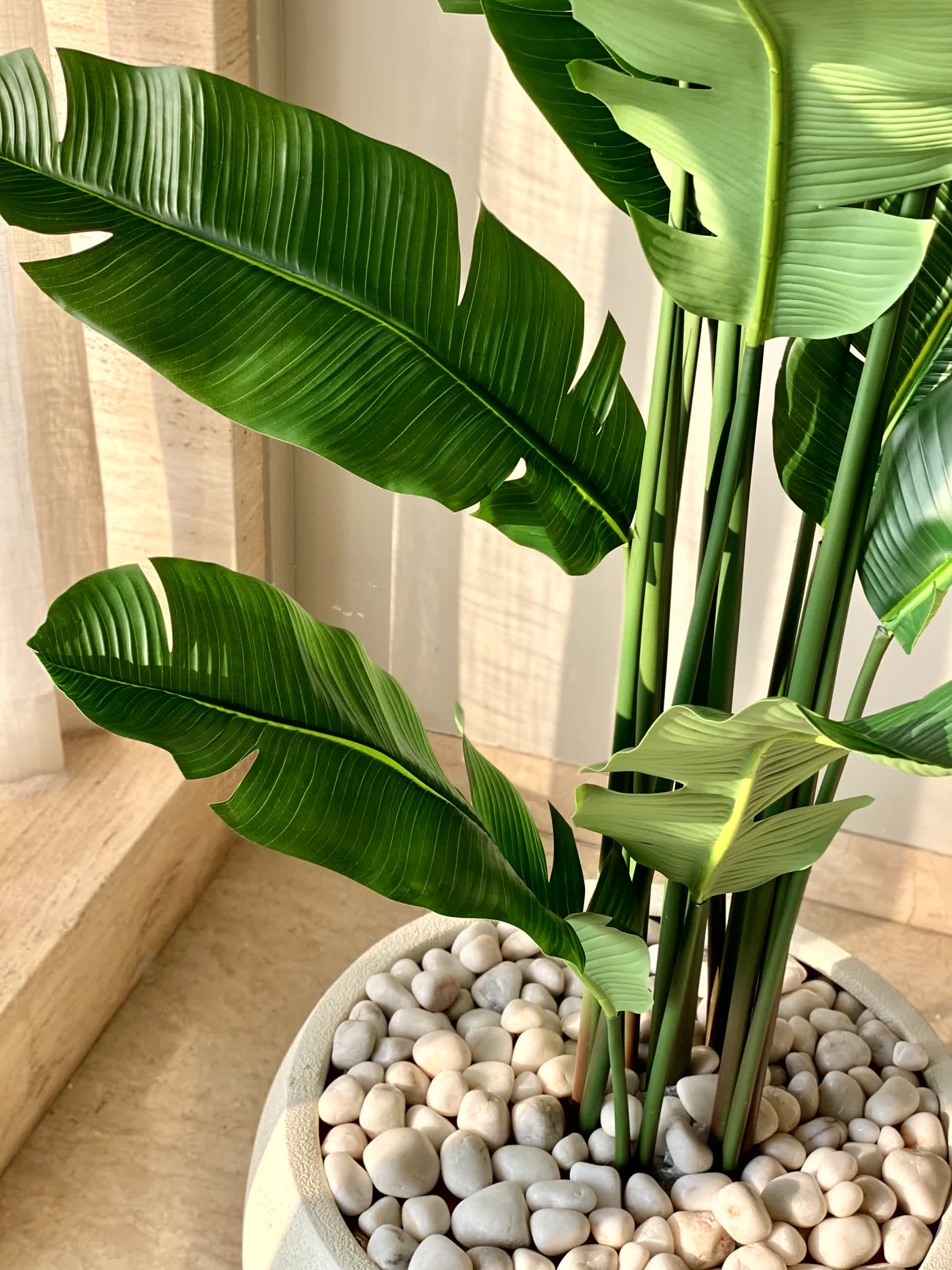 Artificial Coastal Palm Plant - 7 Feet