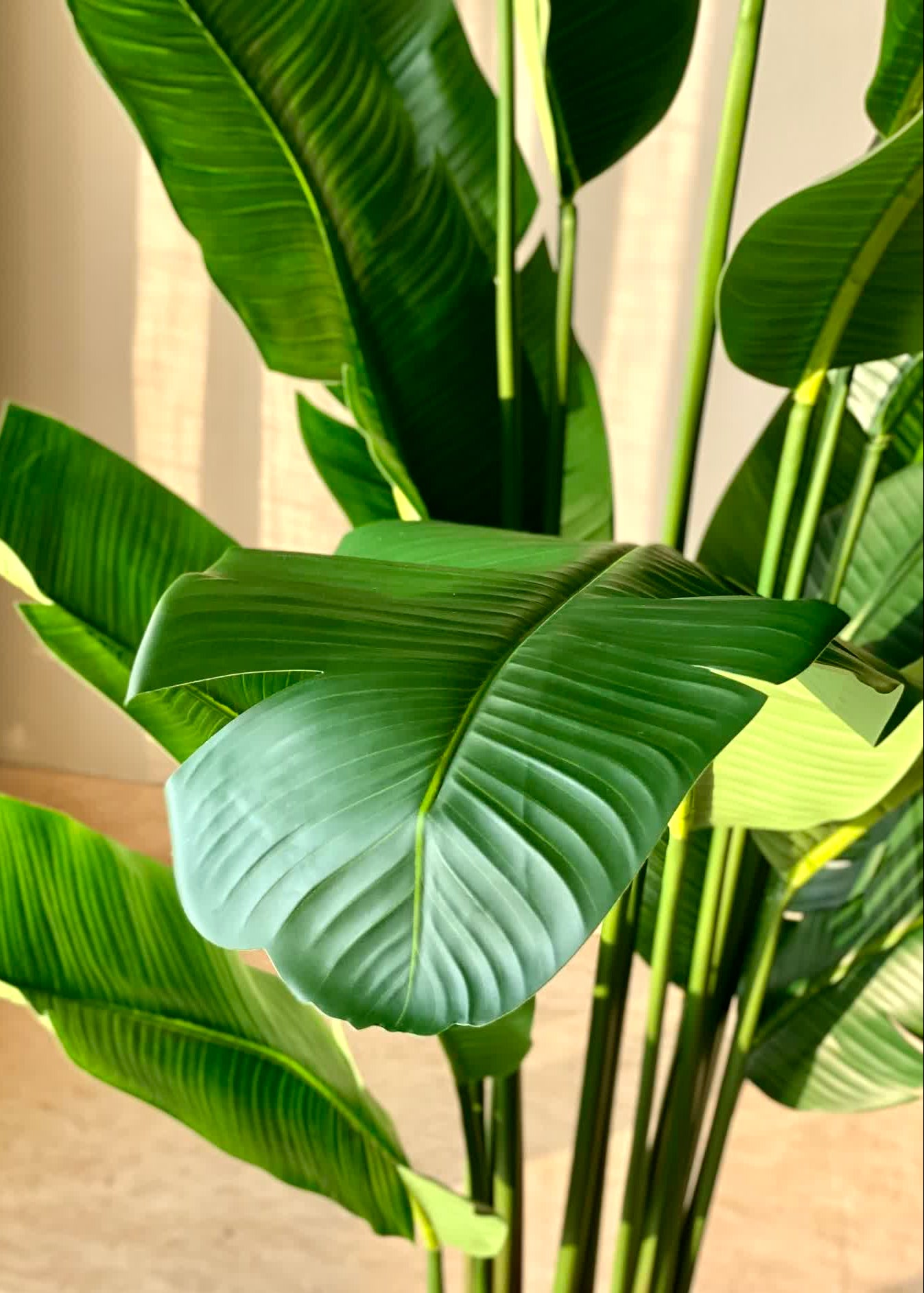 Artificial Coastal Palm Plant - 6 Feet