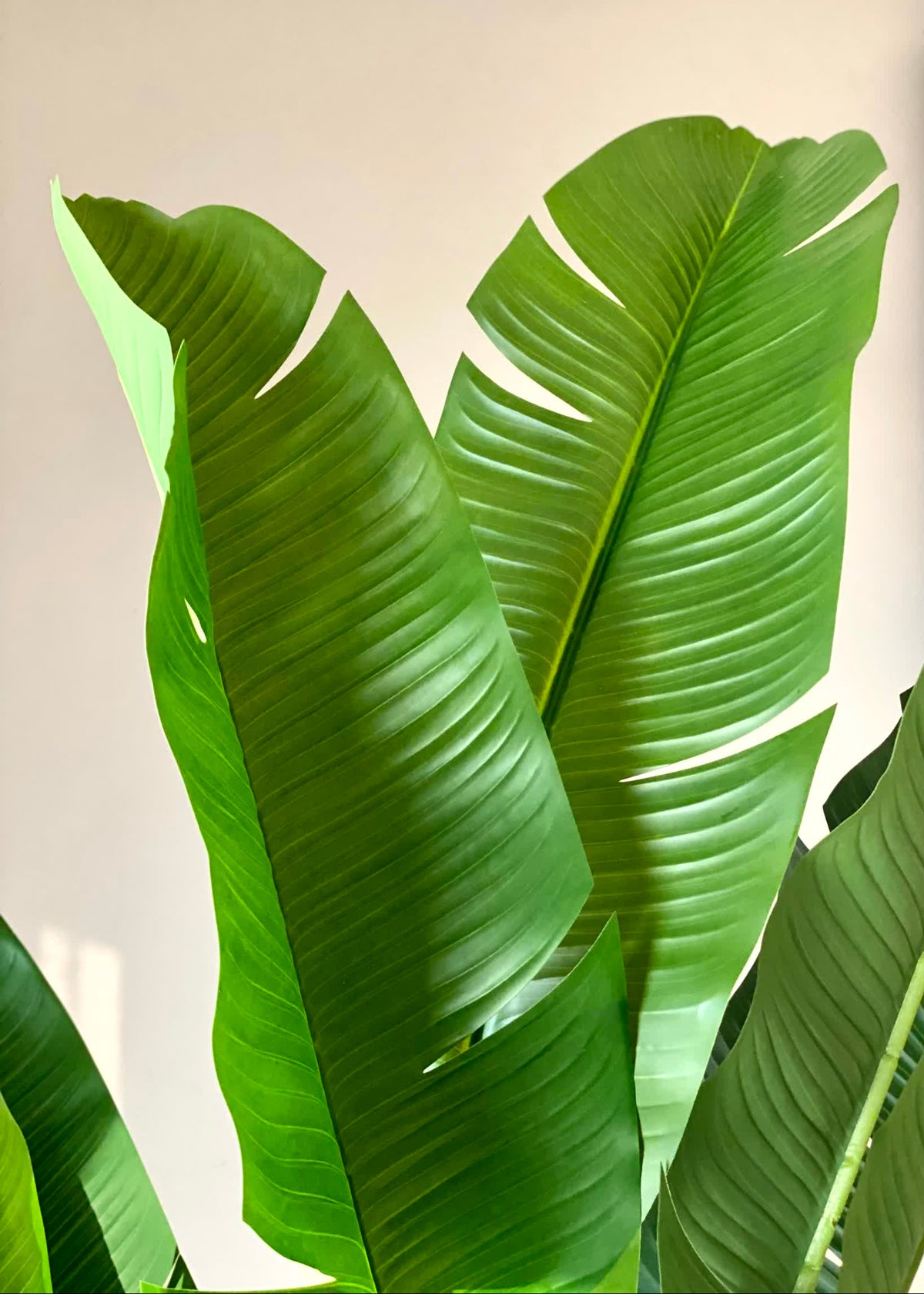 Artificial Coastal Palm Plant - 6 Feet
