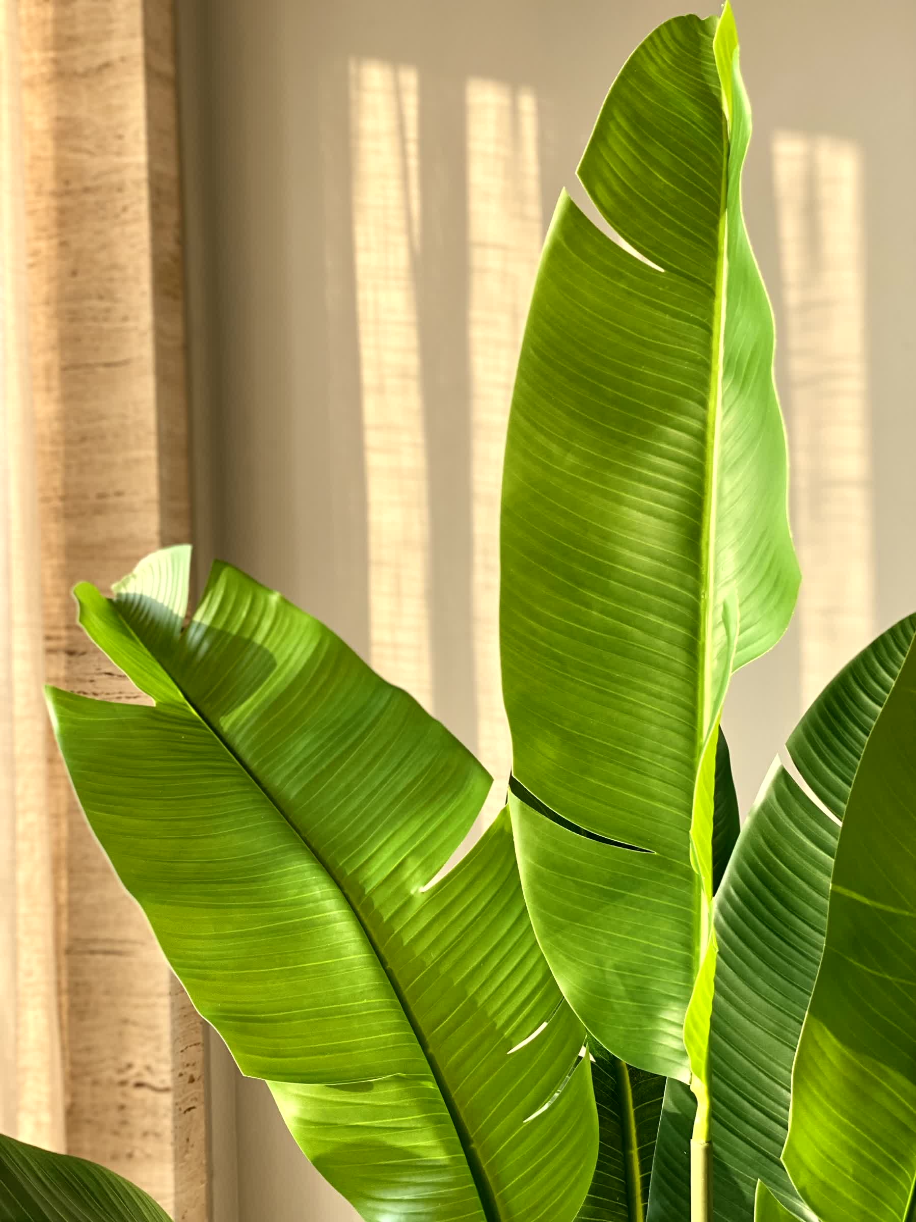 Artificial Coastal Palm Plant - 4 Feet