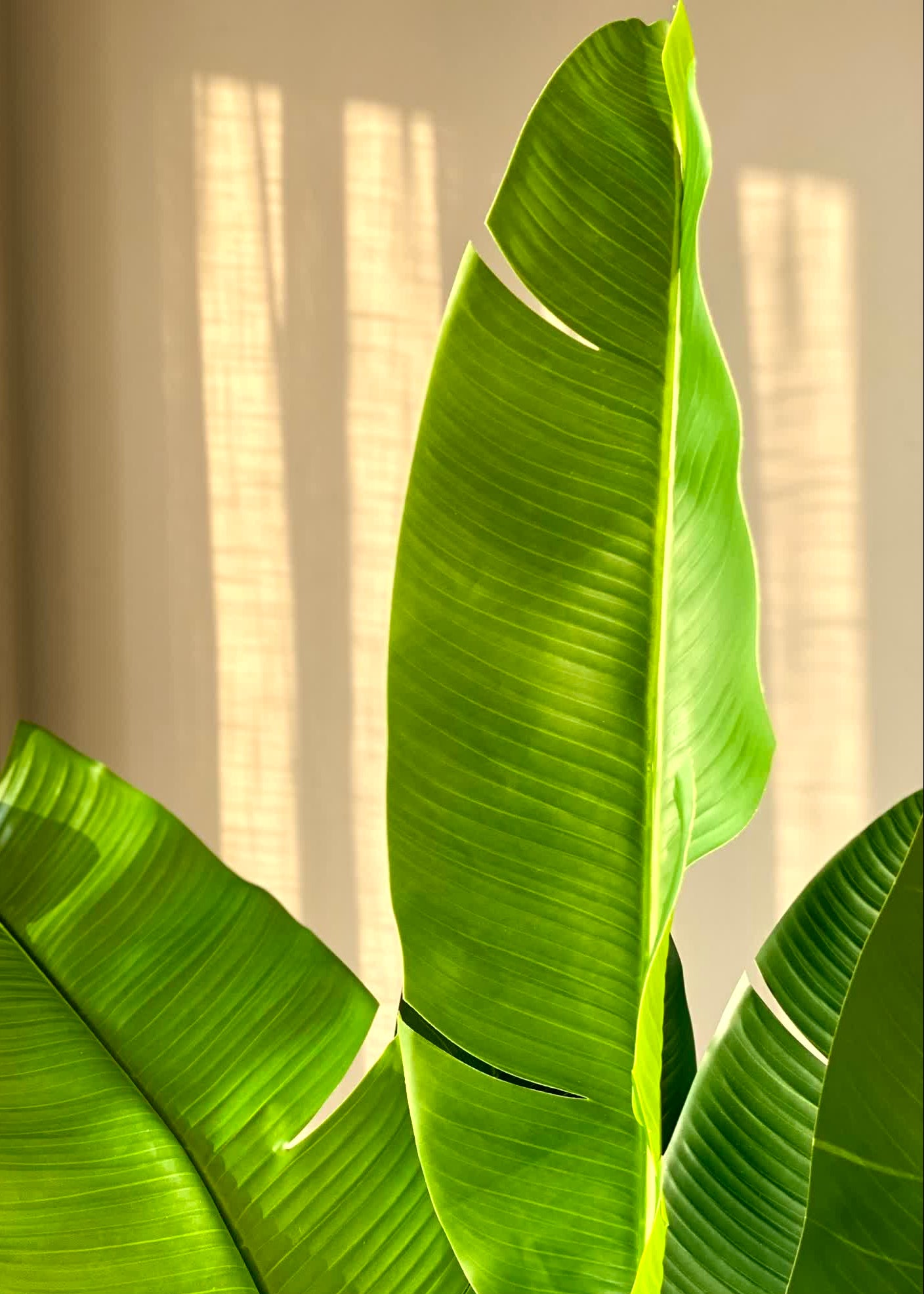 Artificial Coastal Palm Plant - 4 Feet