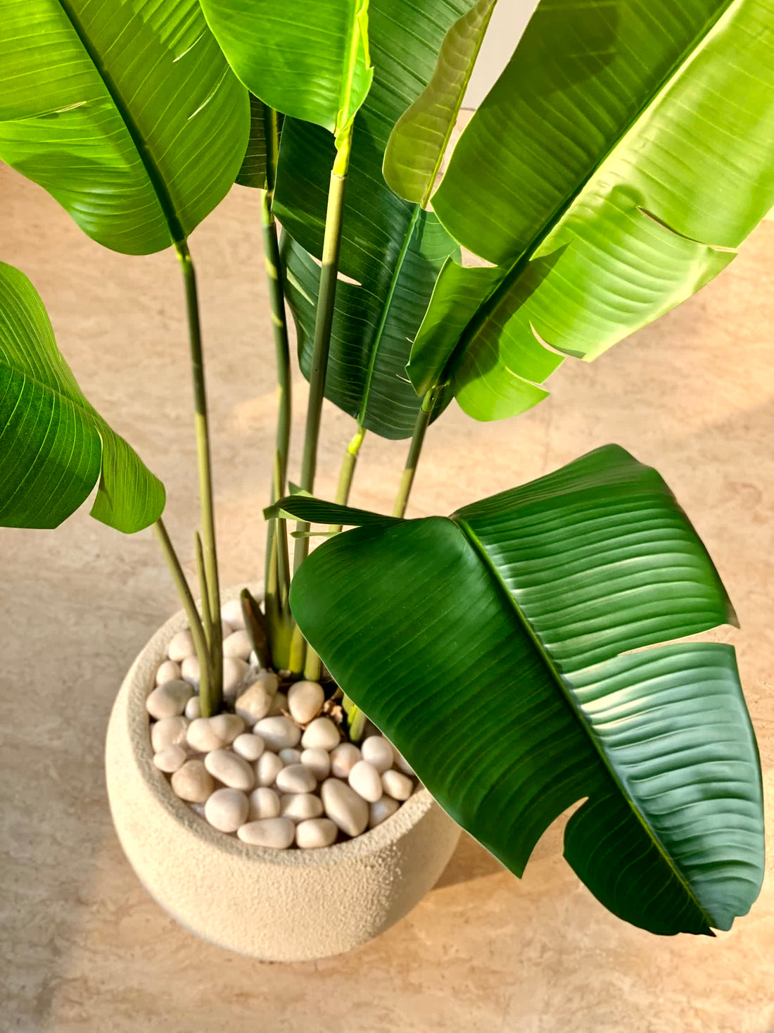 Artificial Coastal Palm Plant - 4 Feet