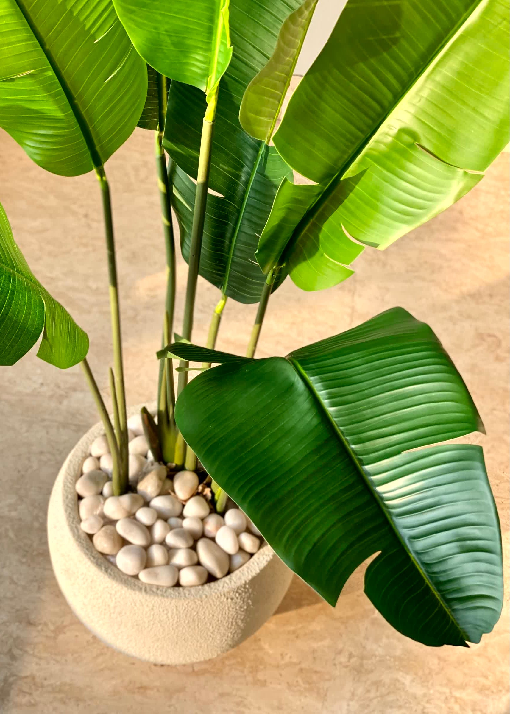 Artificial Coastal Palm Plant - 4 Feet