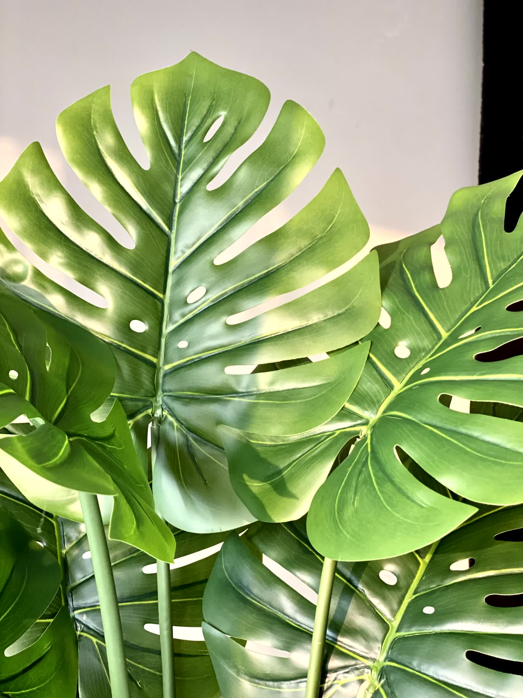 Artificial Tropical Monstera Plant - 5 Feet