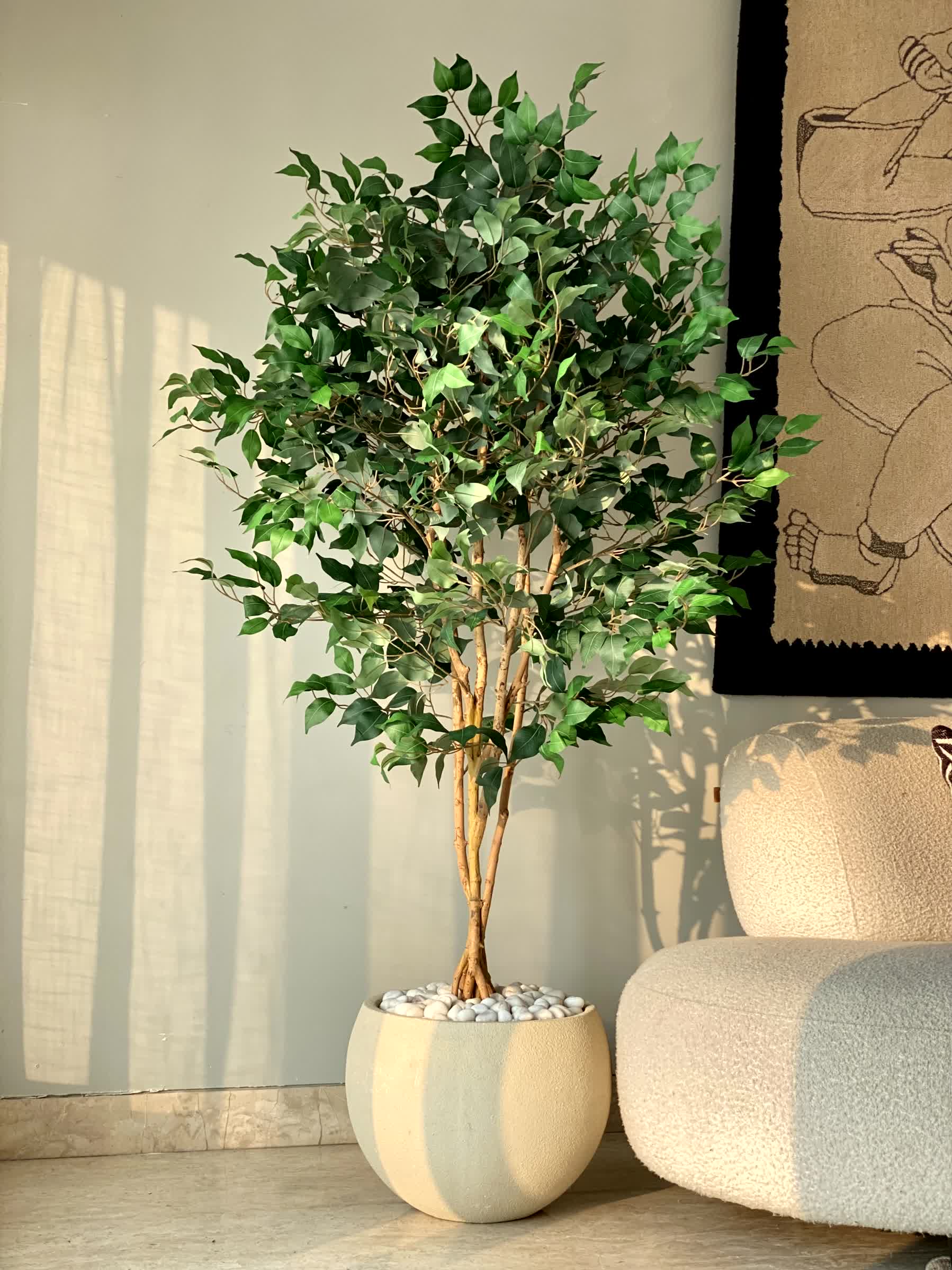 Artificial Aurora Ficus Plant - 6 Feet