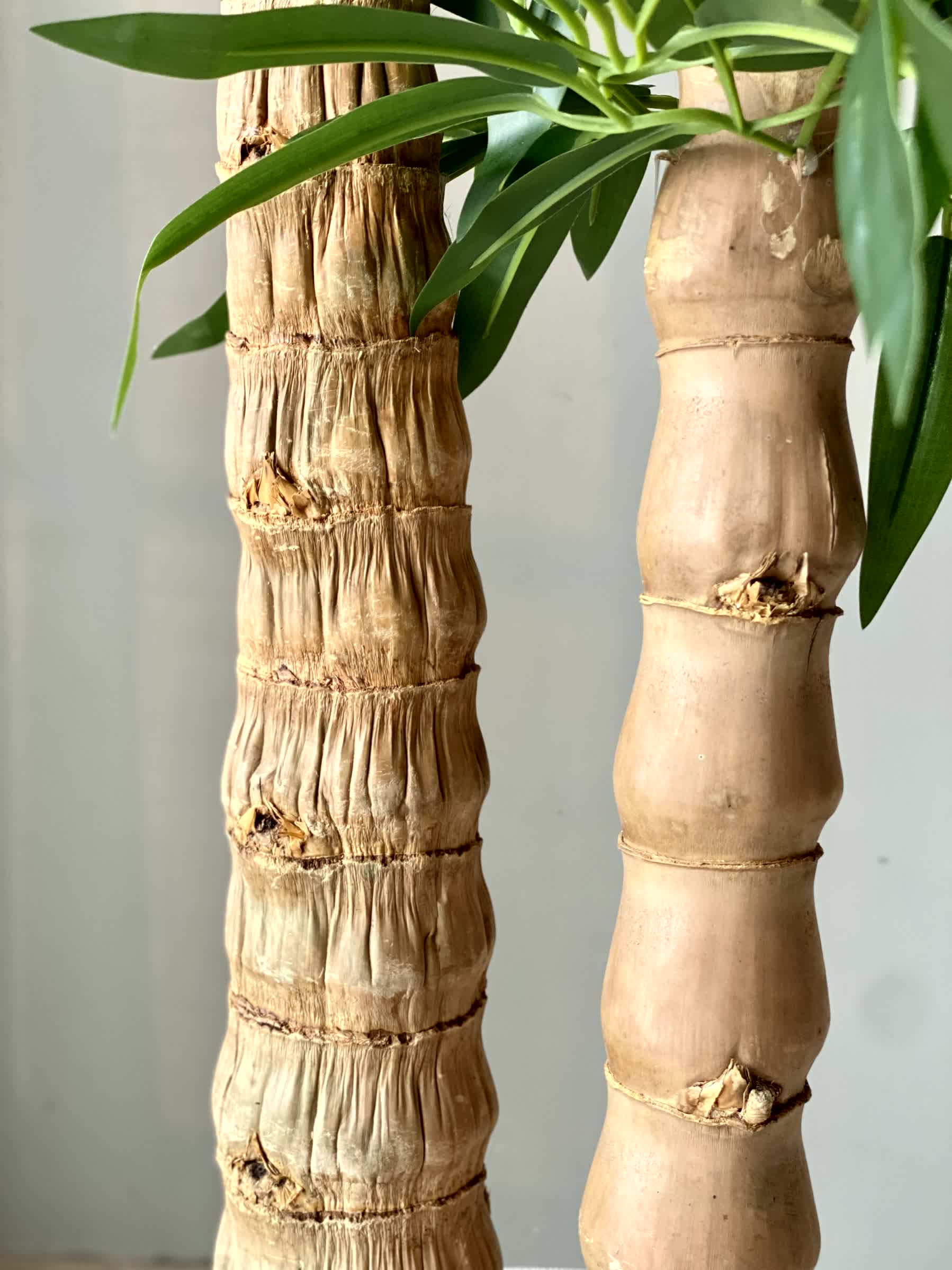 Artificial Timber Bamboo Plant - 7 Feet