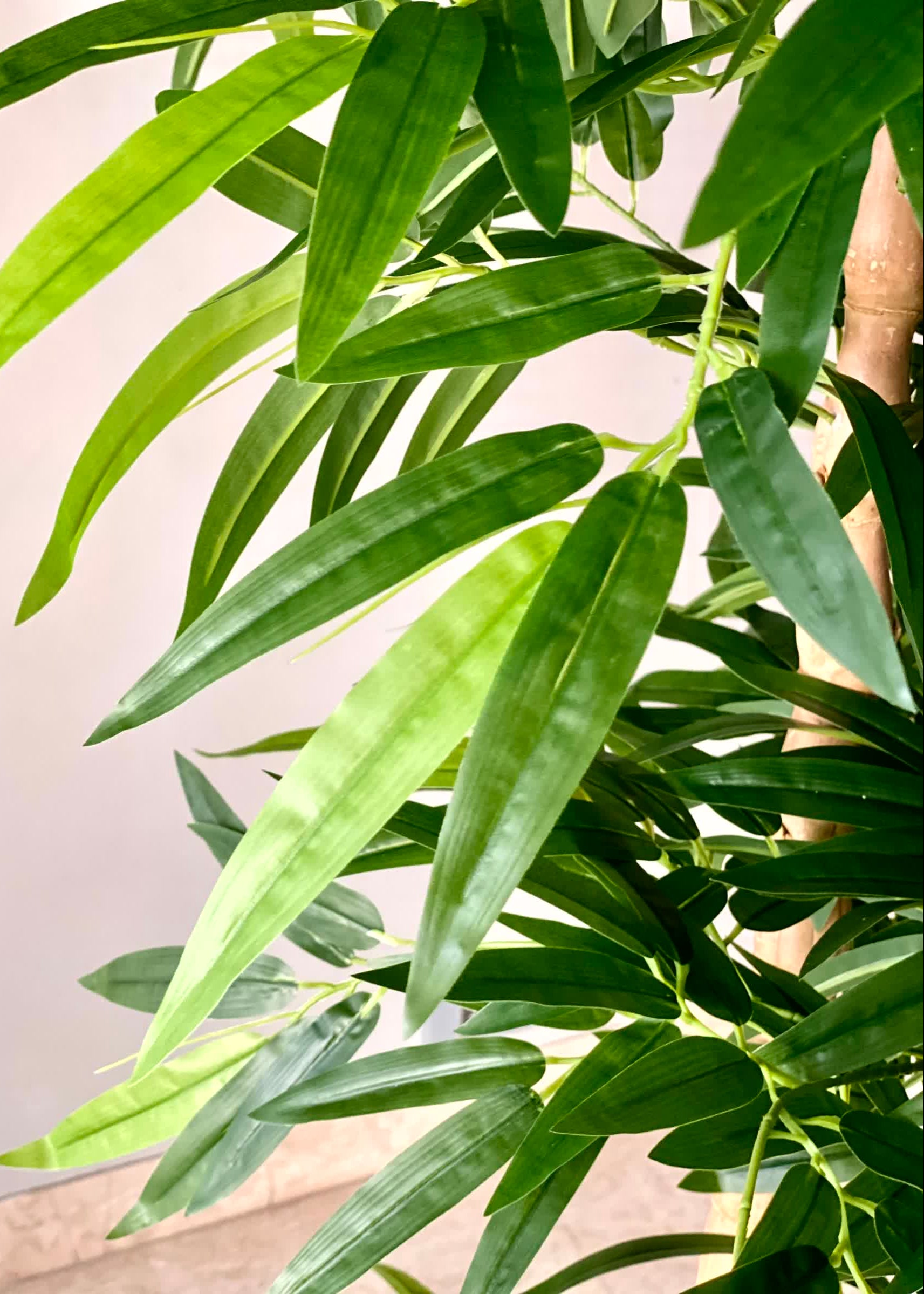 Artificial Timber Bamboo Plant - 6 Feet