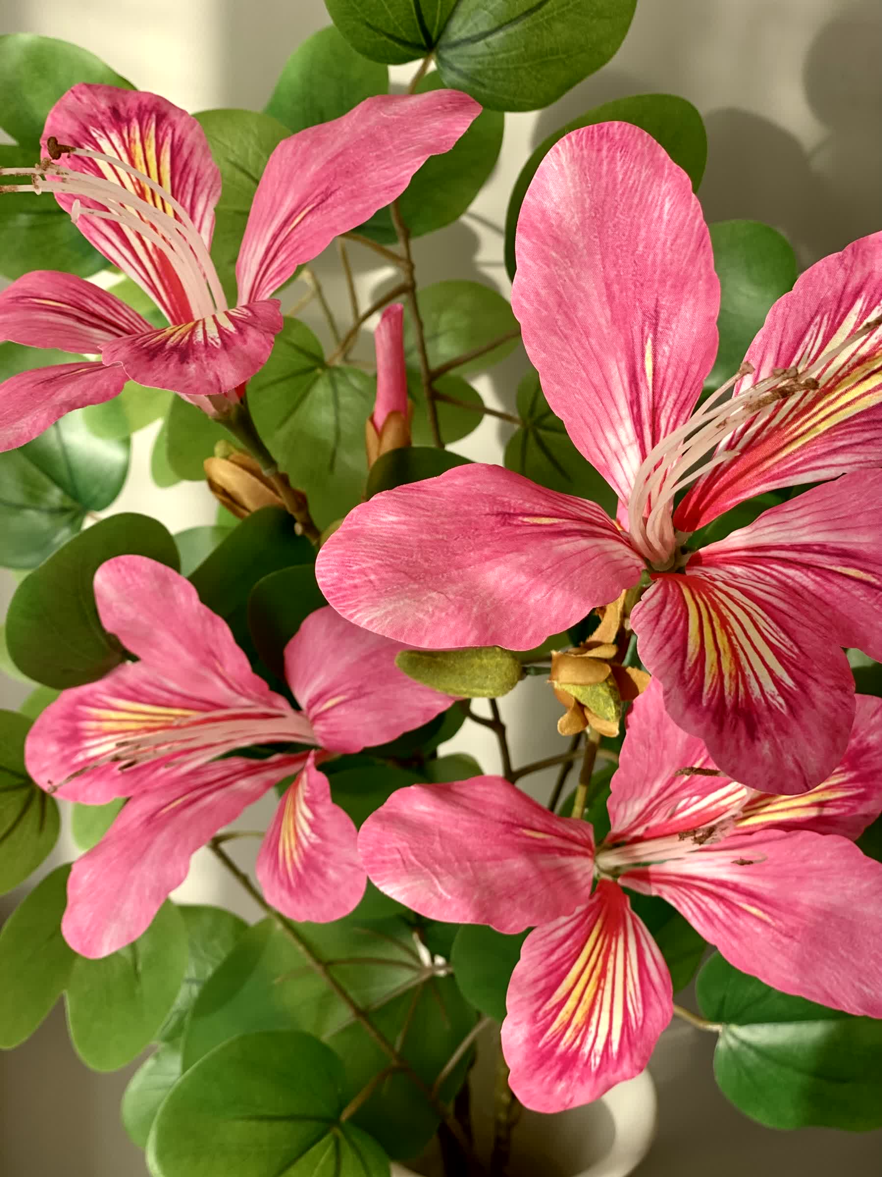 Artificial Bauhinia Flower Stem - Pink (Set Of 2)