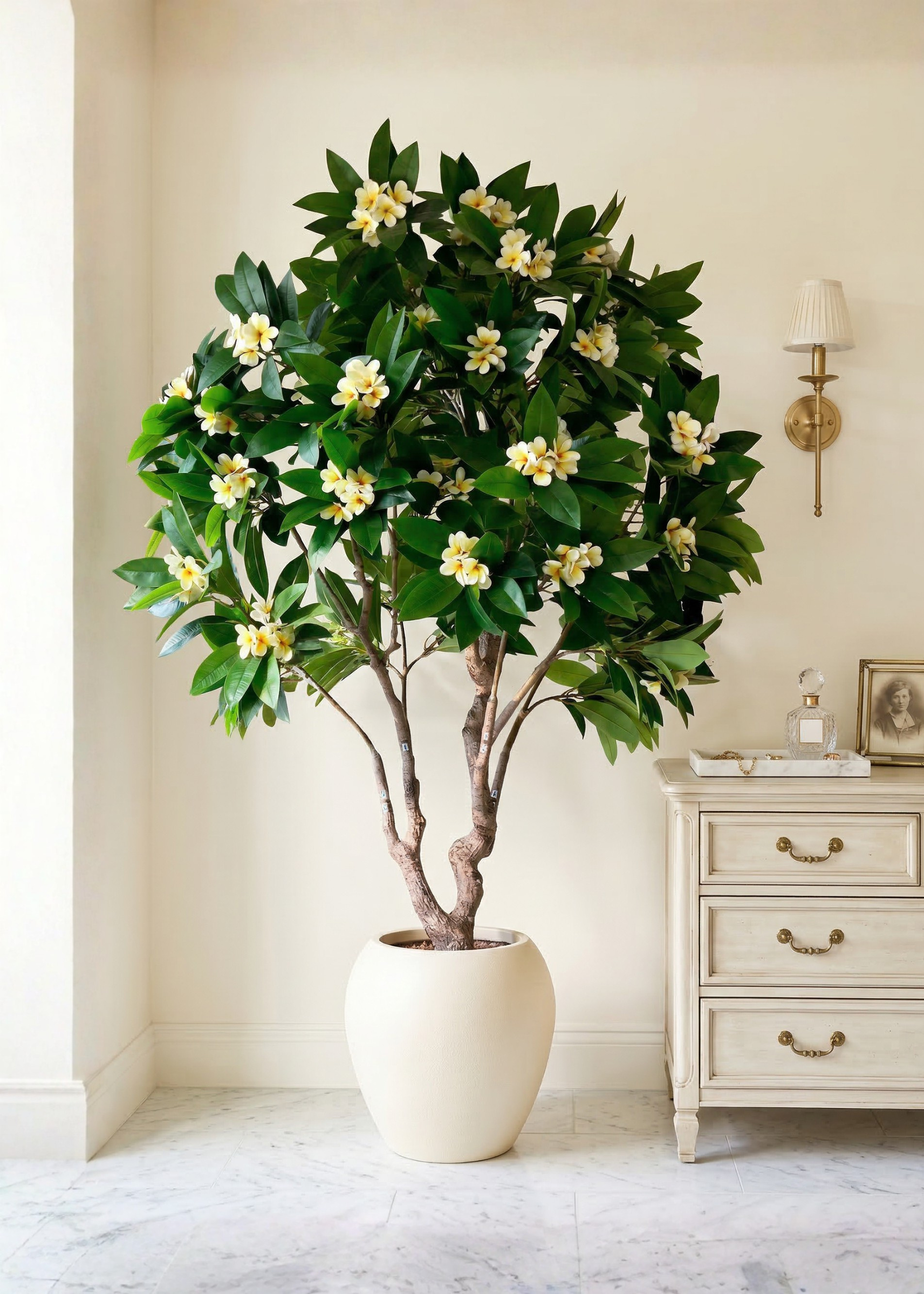 Artificial Frangipani Plant + Pot - 7.7 Feet (White)